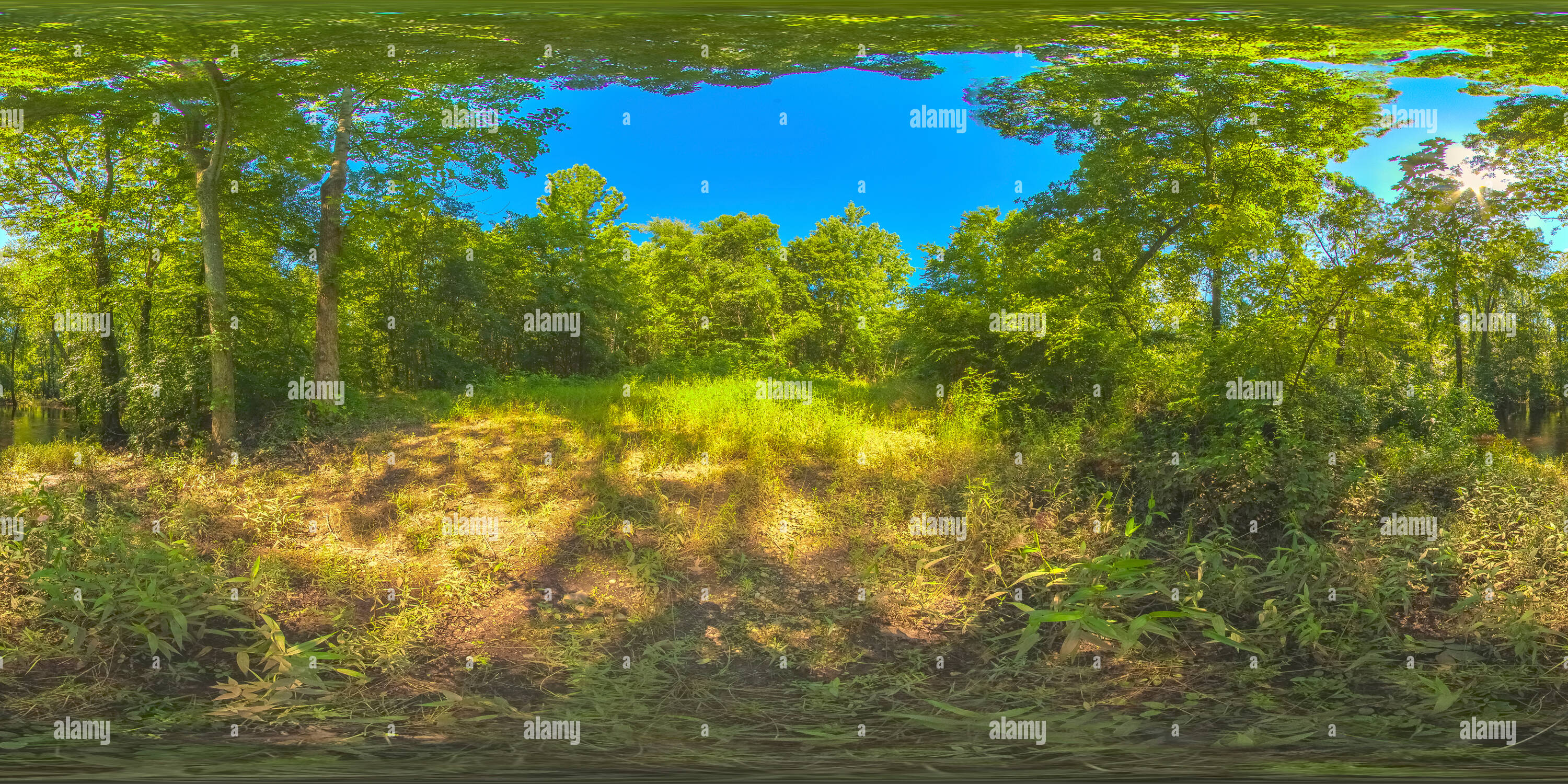 Eastern Shore Of Maryland S Craigslist Your Marketplace For Unique Experiences And Activities - jcd4mzx