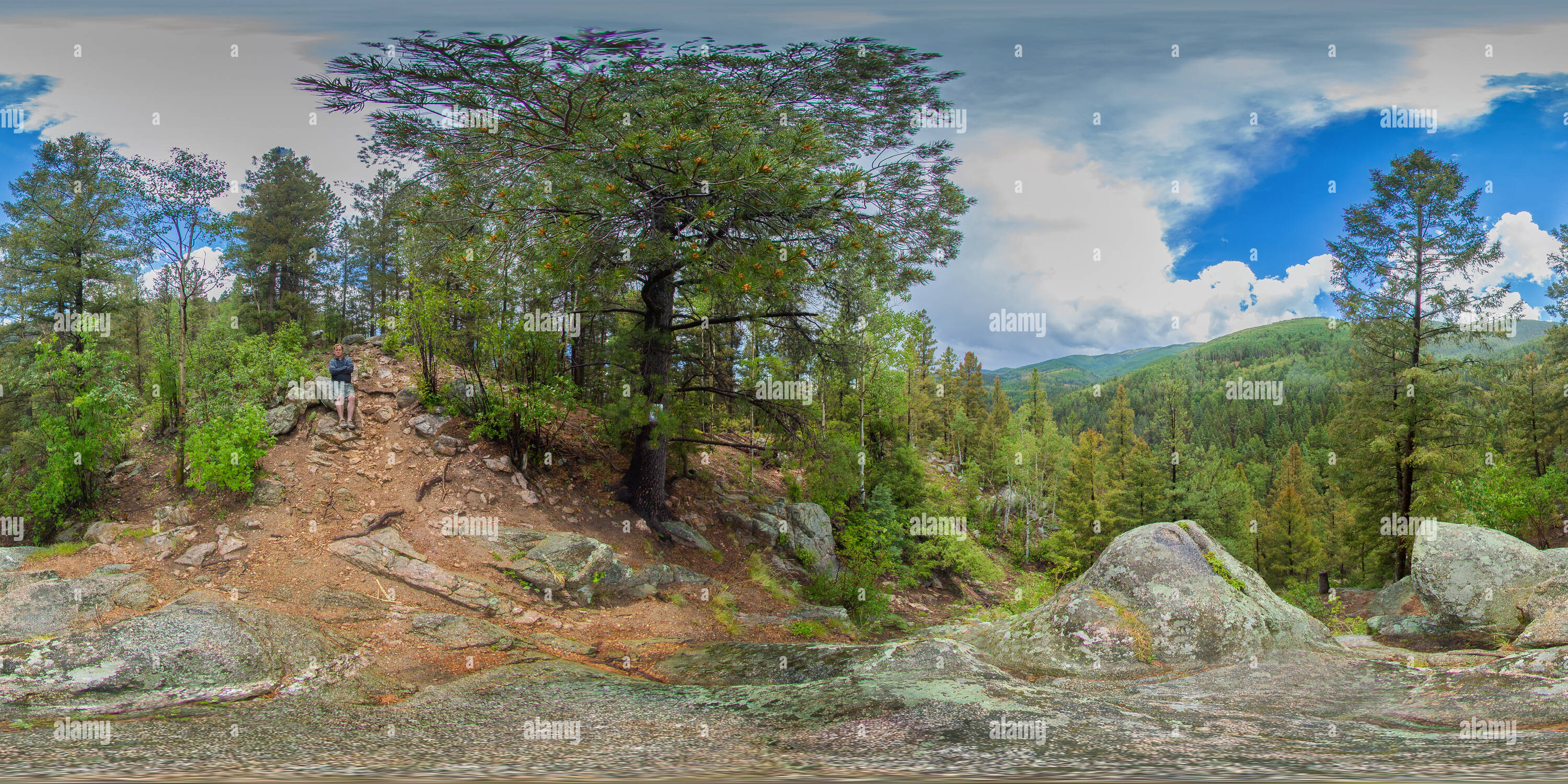 360° view of Santa Fe National Forest Alamy