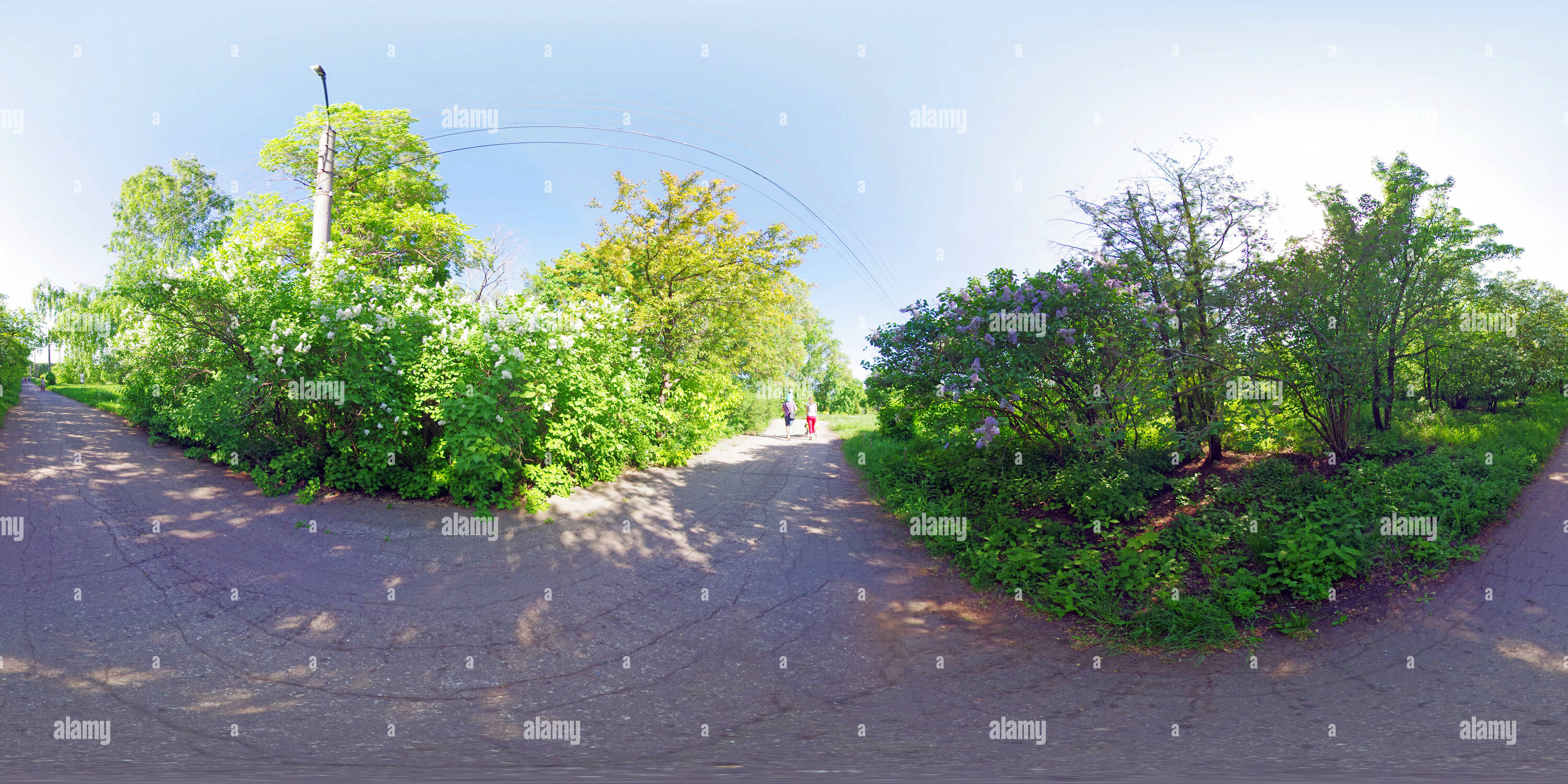 360° view of Samara Botanical Garden 3 - Alamy