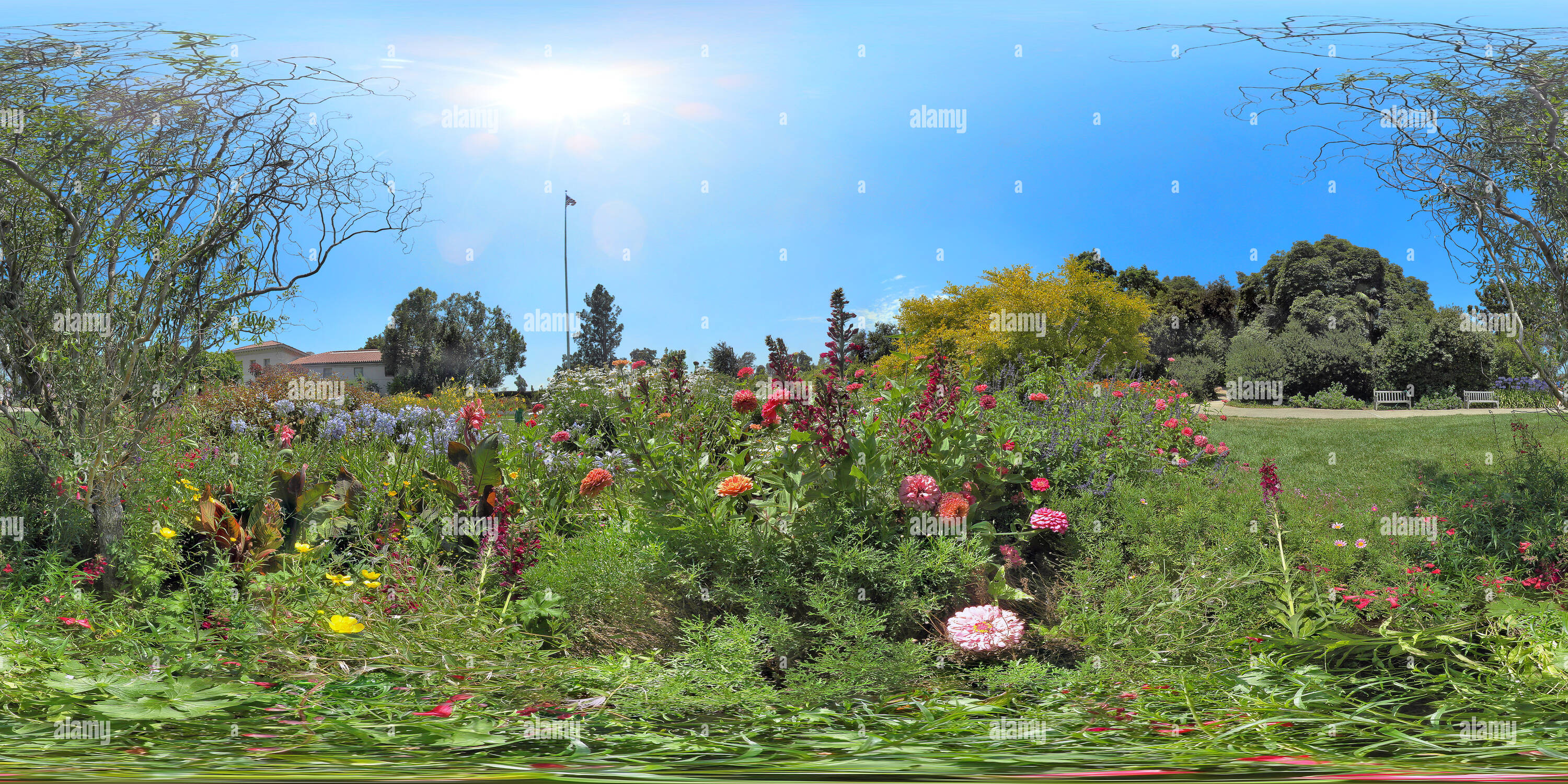 360-view-of-huntington-library-gardens-pan2-alamy