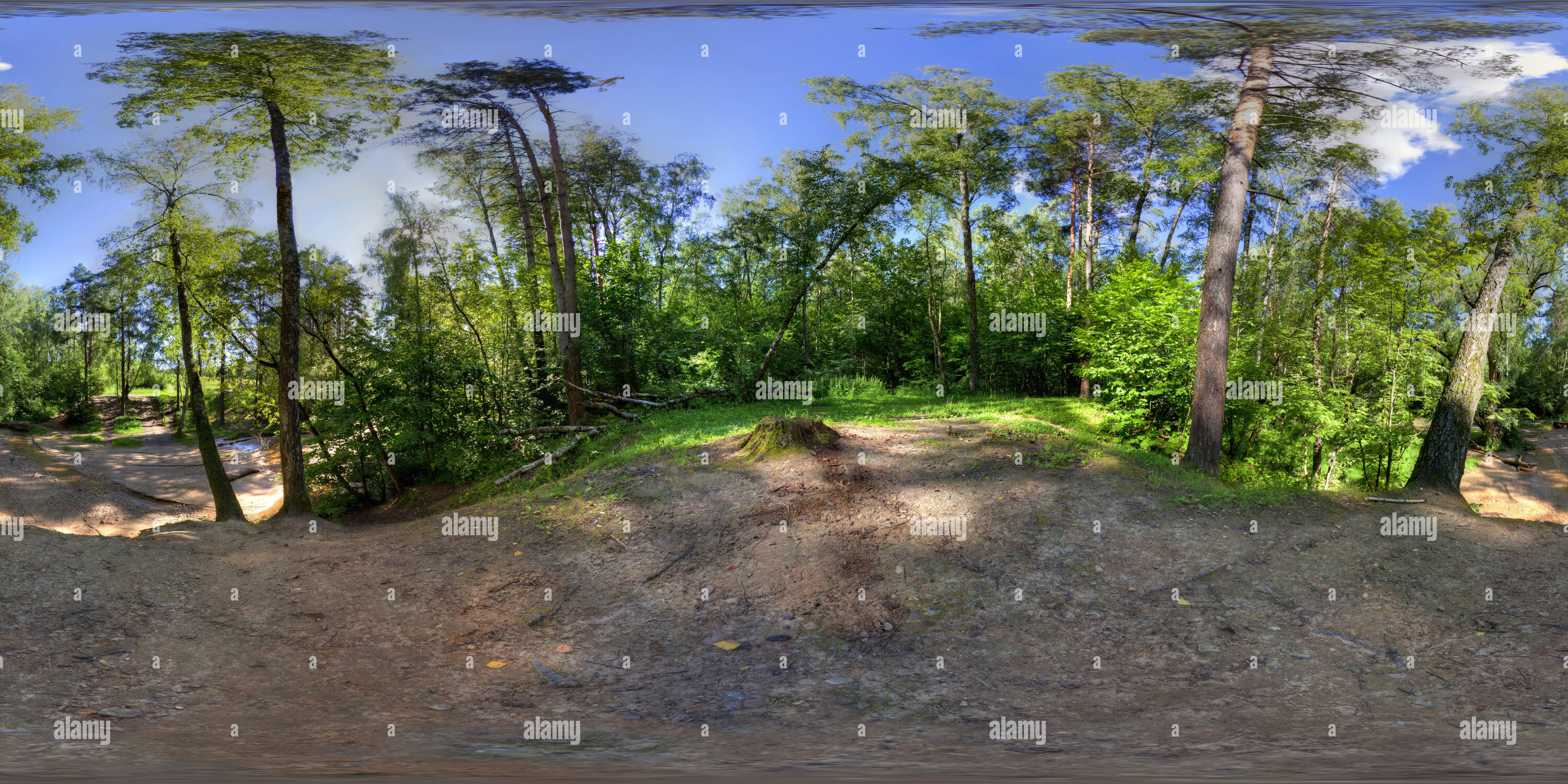 360 degree panoramic view of Summer landscape, Bitza Park, Moscow 3