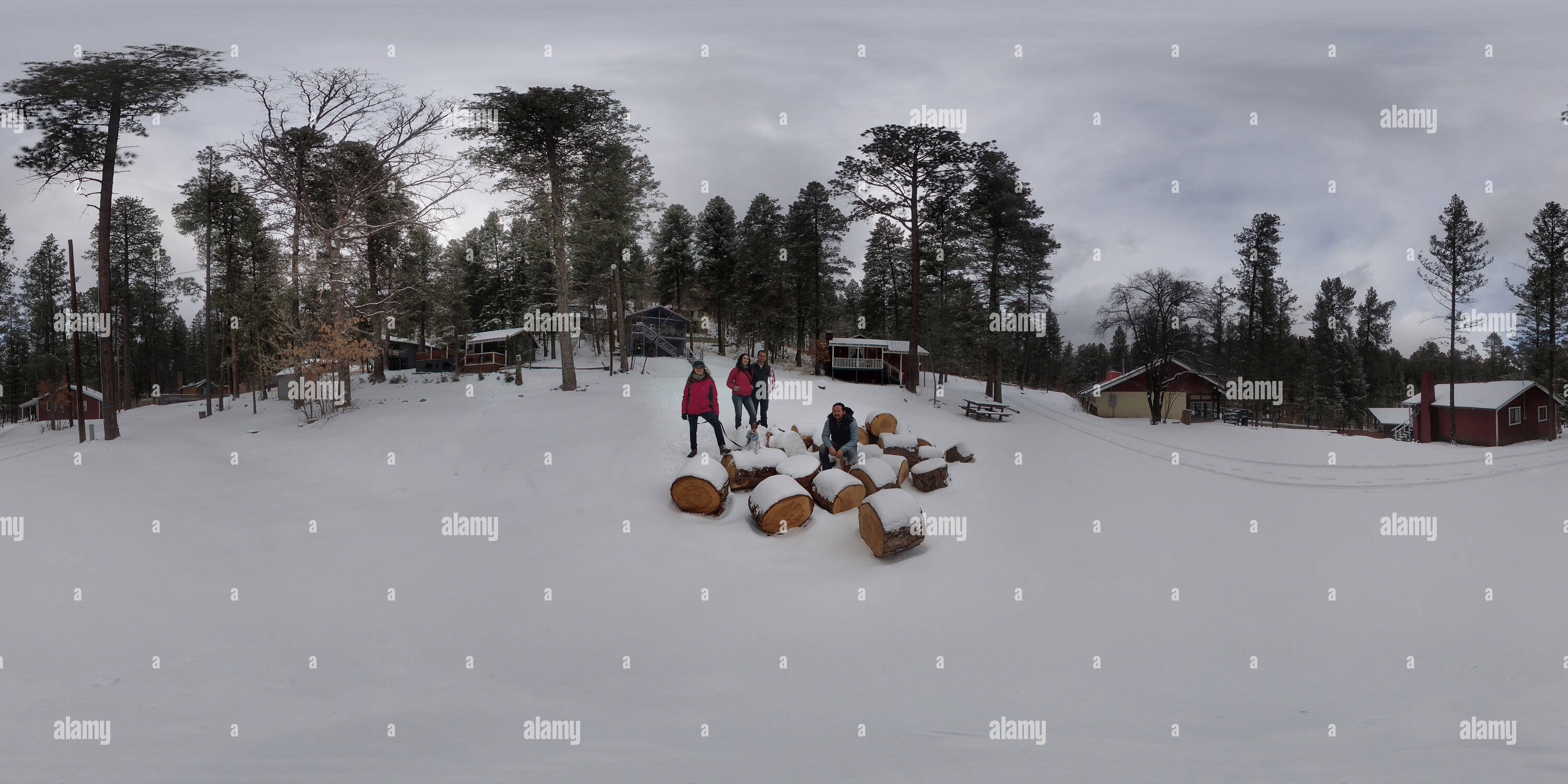 360 View Of Outside Bear Country Cabin 223898971 Alamy