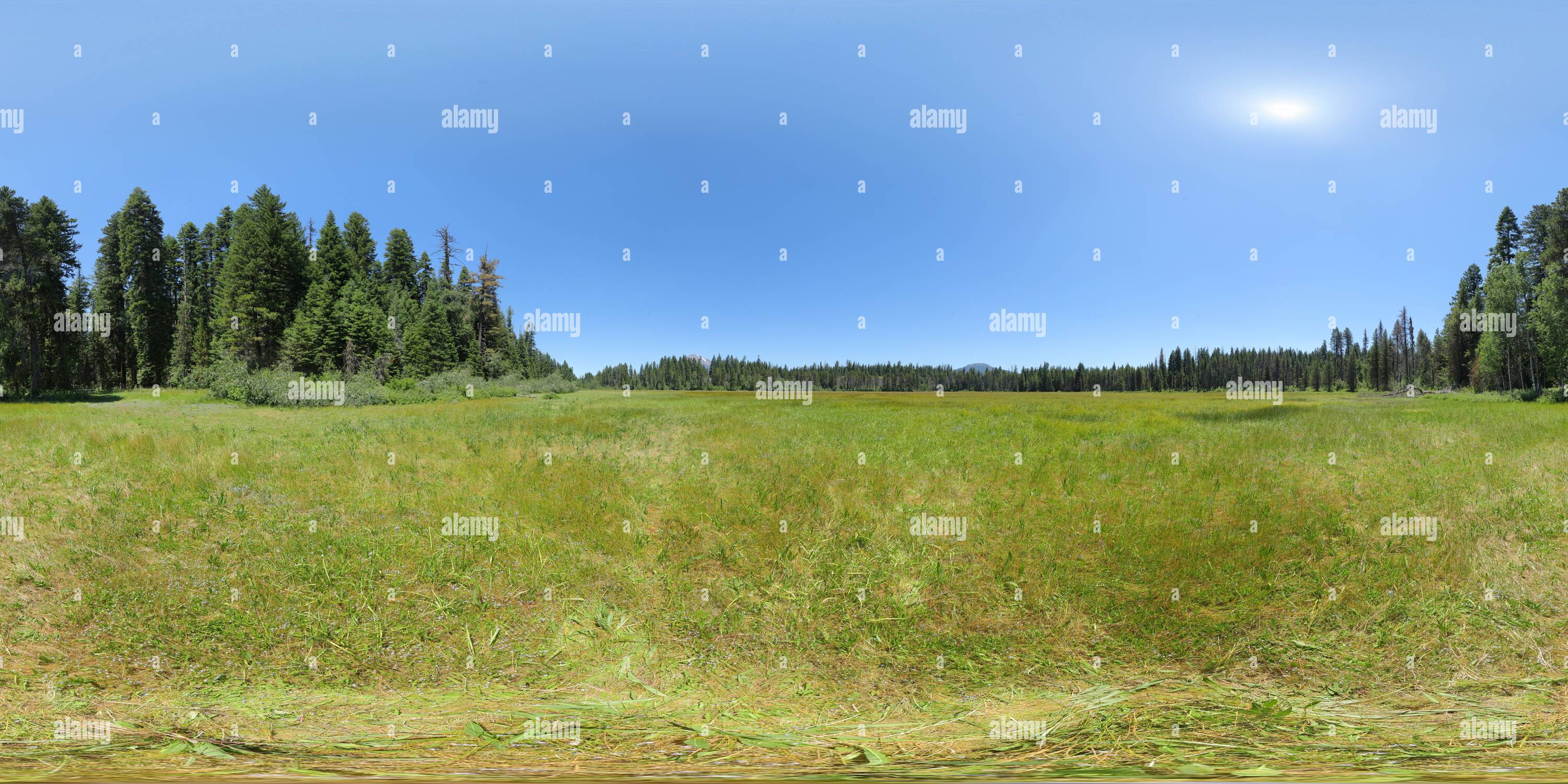 360° view of Big Elk Meadow Alamy