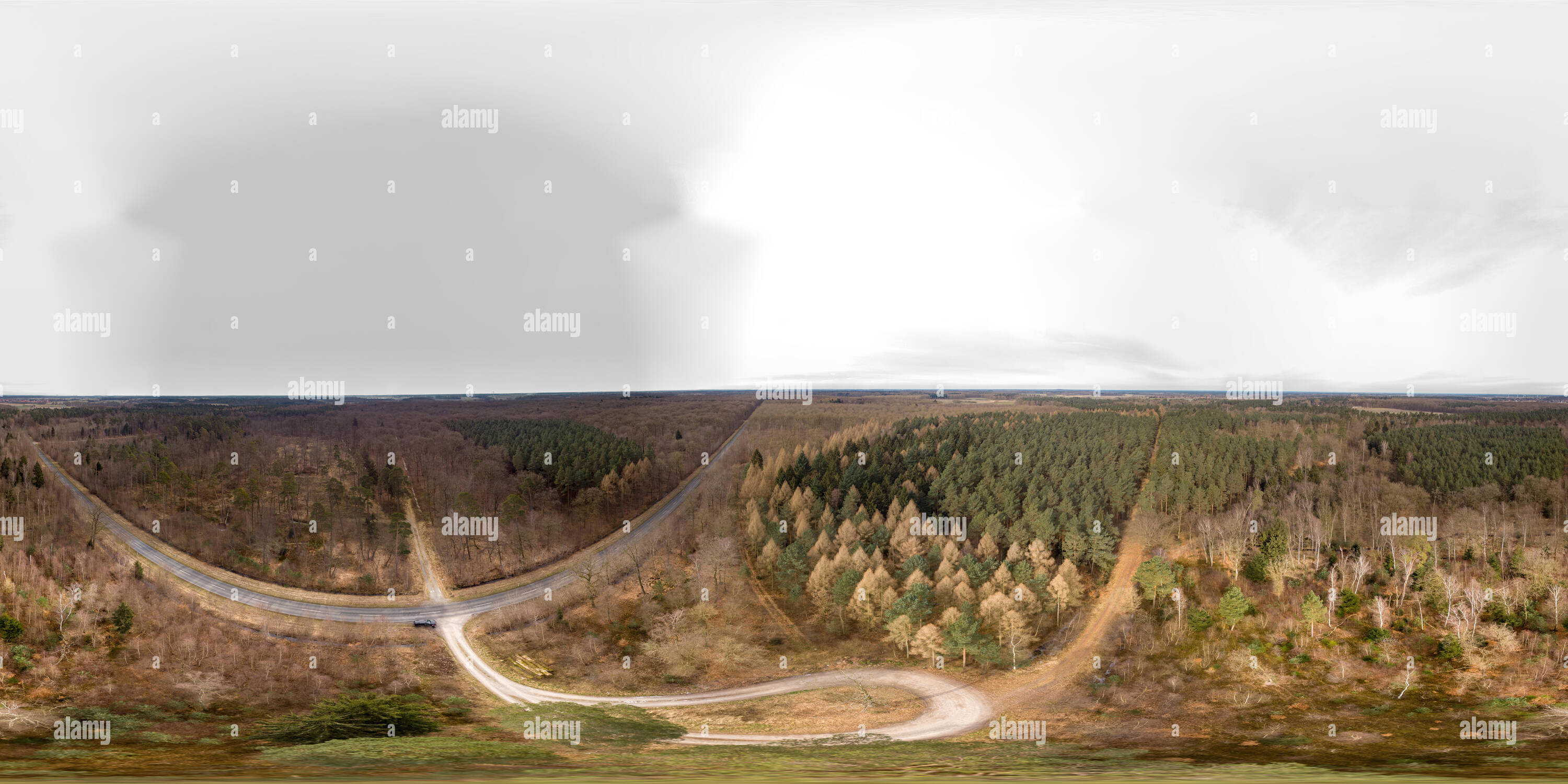360 degree panoramic view of Aerial panorama of a turning loop in a forest ridge with large spruce, pine and fir trees beneath a countryroad.
