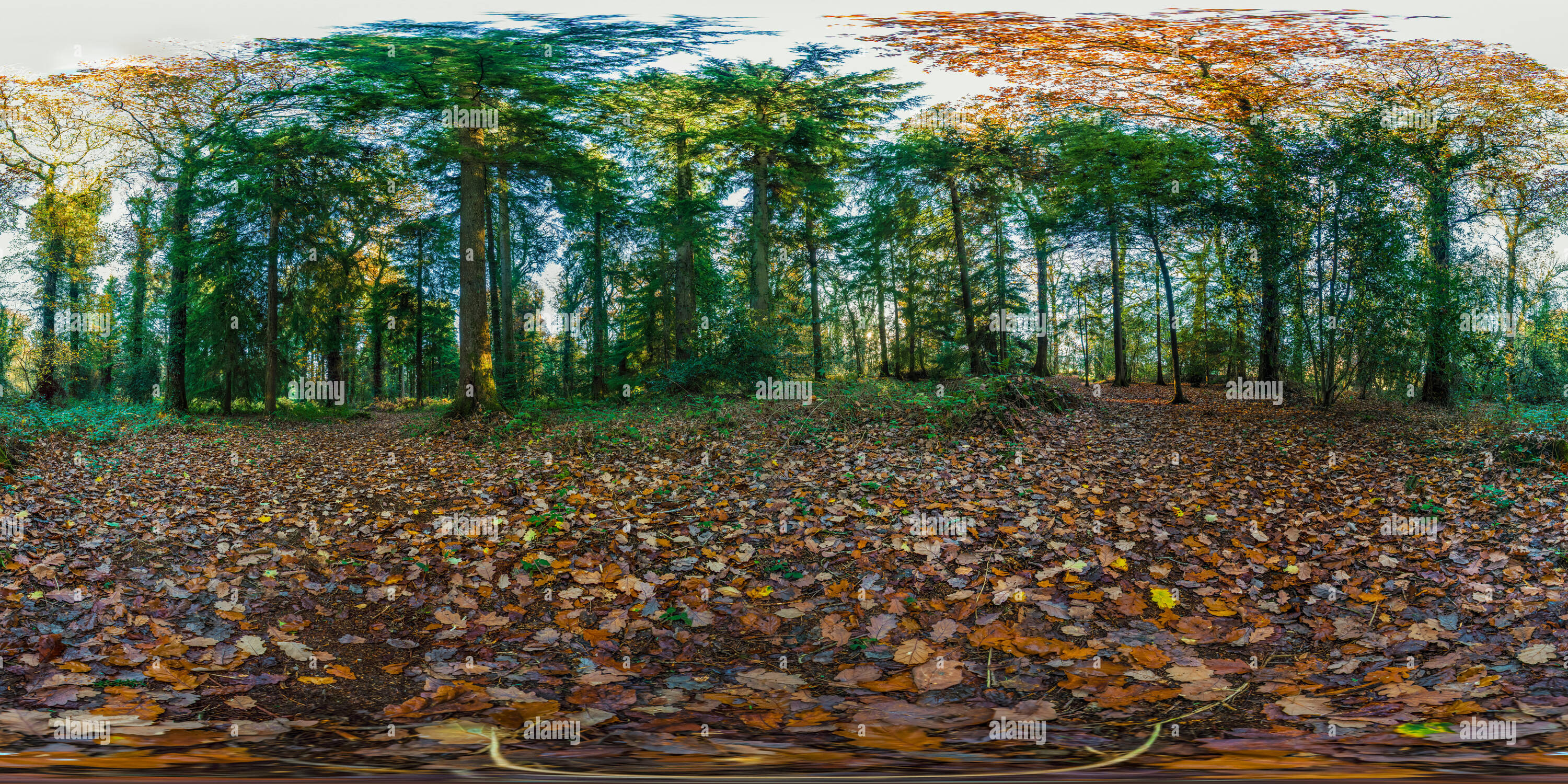 360 panorama photosphere google cardboard