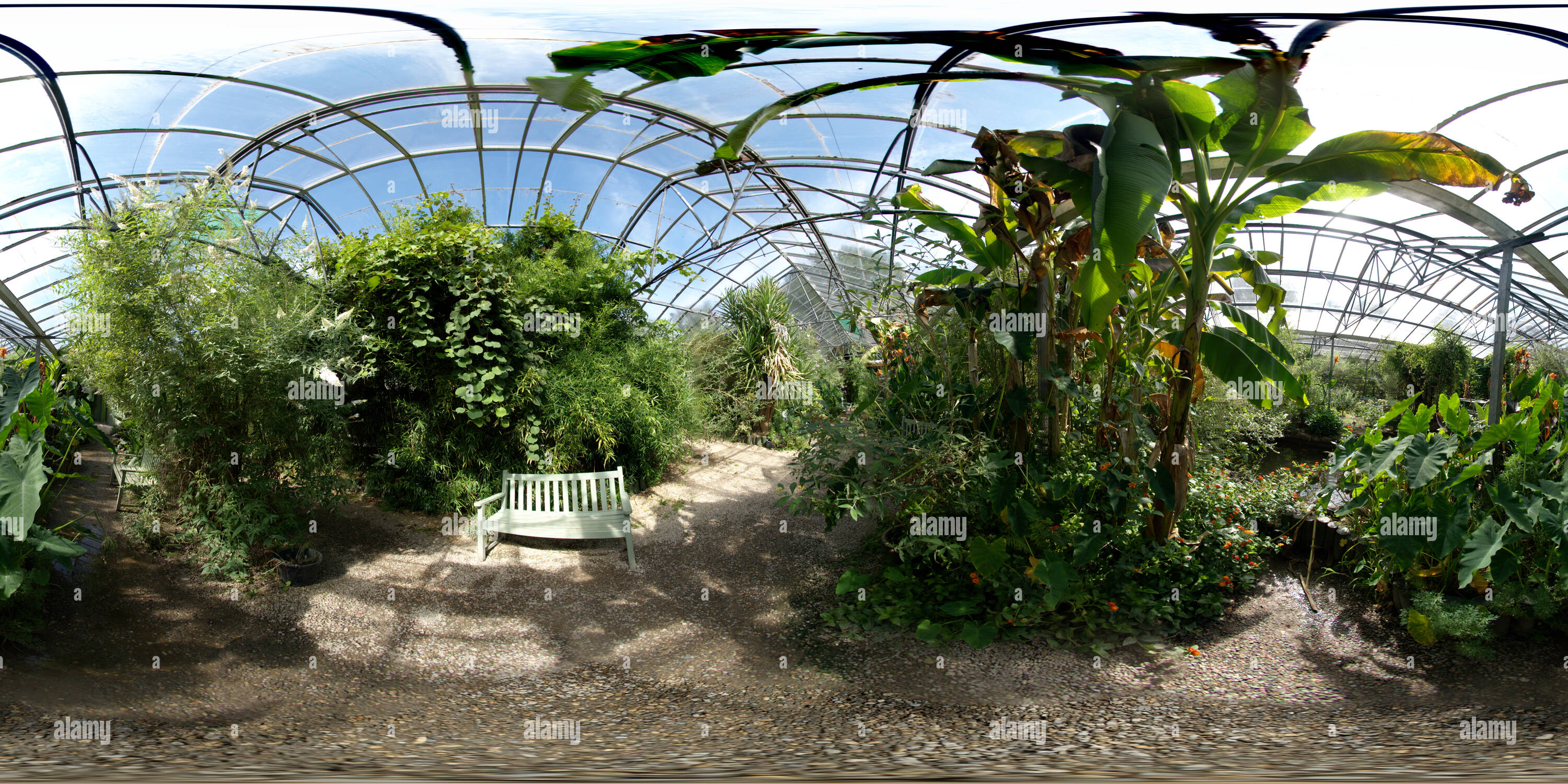Butterfly greenhouse hires stock photography and images Alamy
