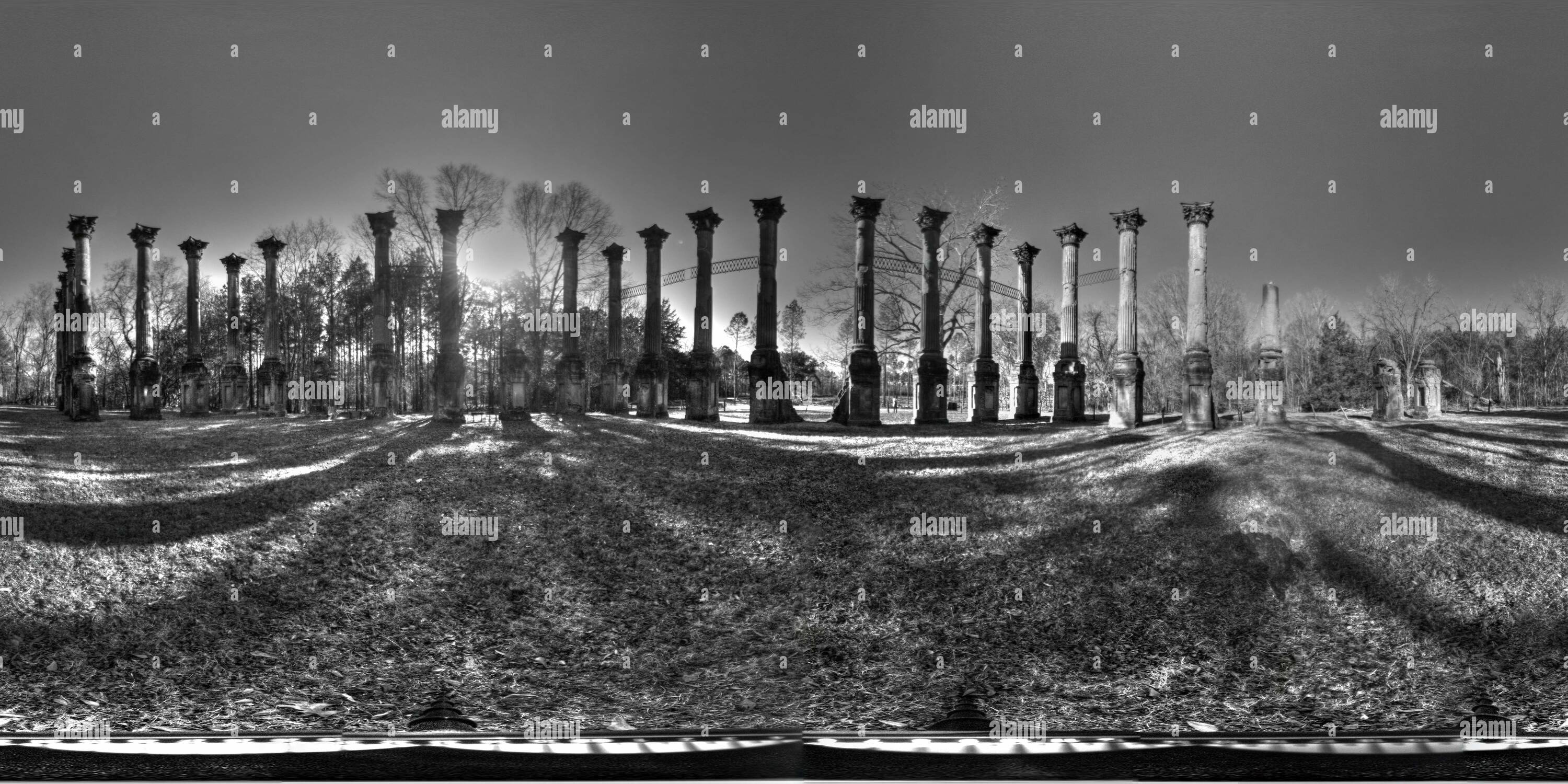 360° view of Windsor Ruins, Lorman, MS (Black & White Alamy
