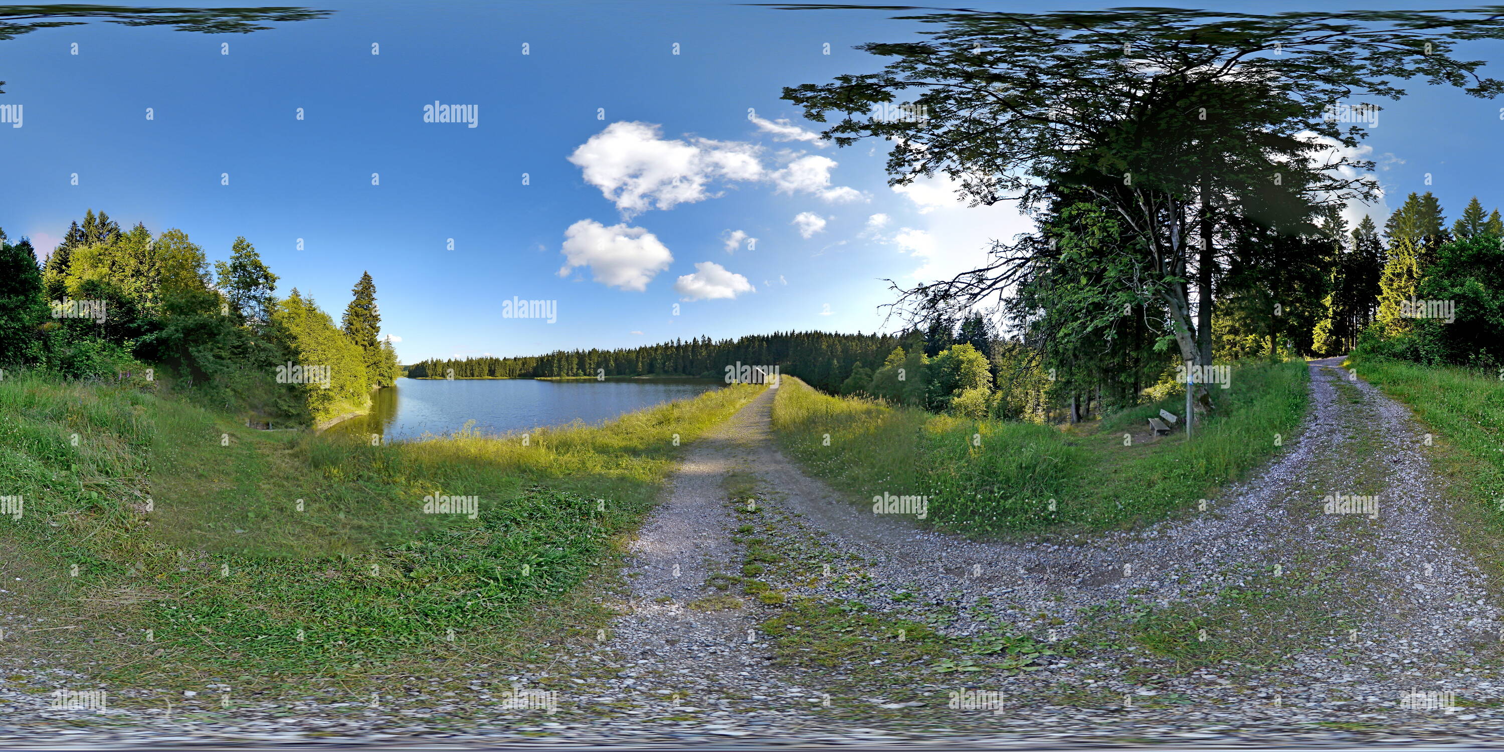 360° view of PrinzenTeich im Harz Alamy
