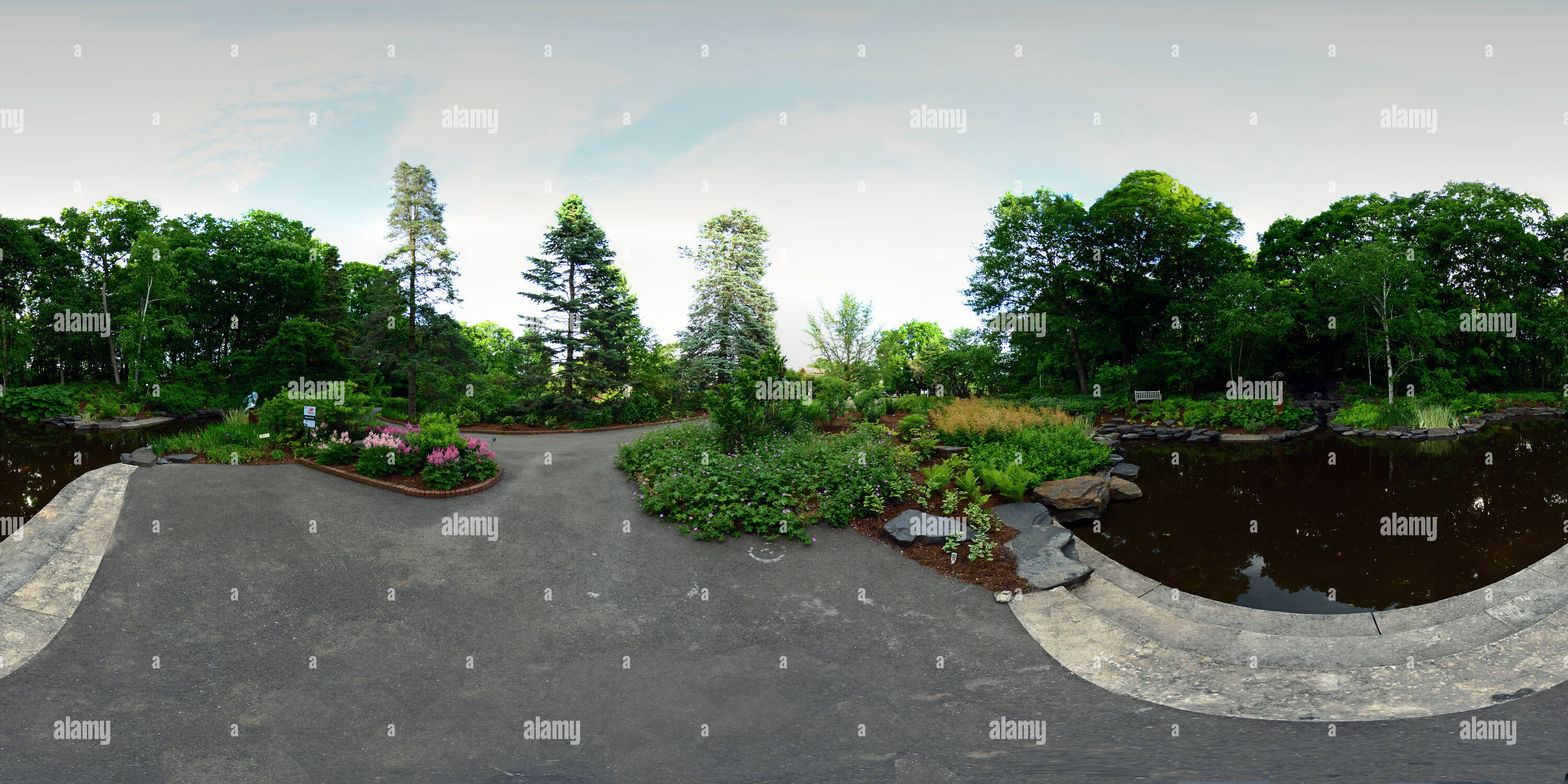 360 degree panoramic view of University of Minnesota Landscape Arboretum Water Pond