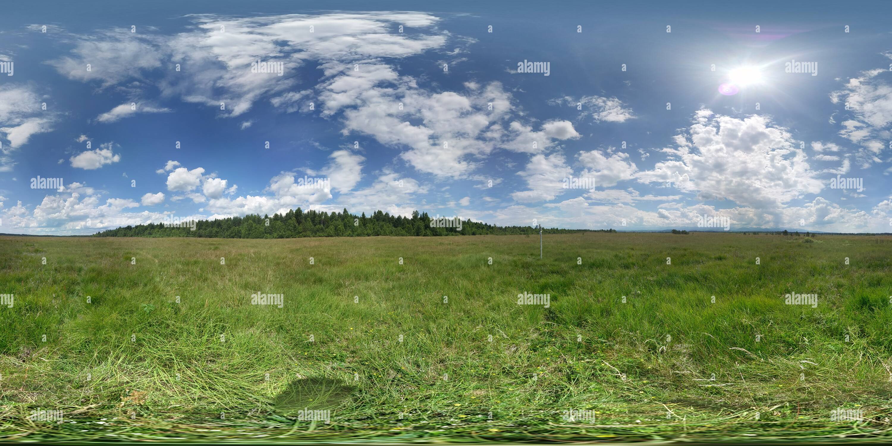 360 degree panoramic view of Torfowisko w Czarnym Dunajcu [Peatland in Czarny Dunajec]