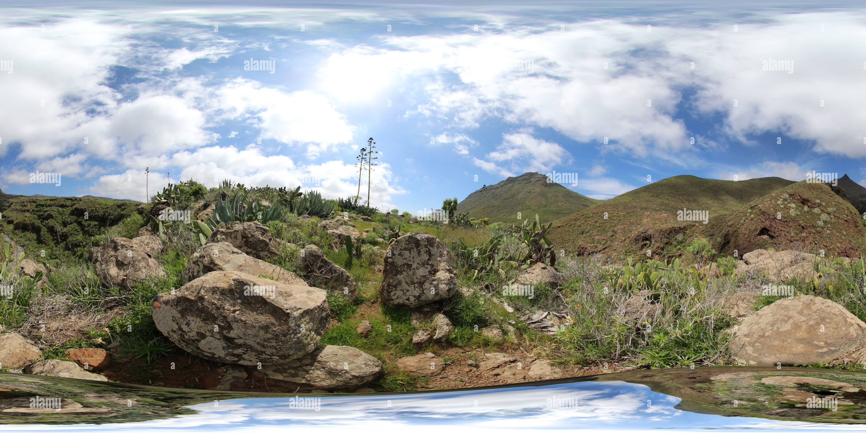 360-view-of-near-barranco-del-rey-alamy