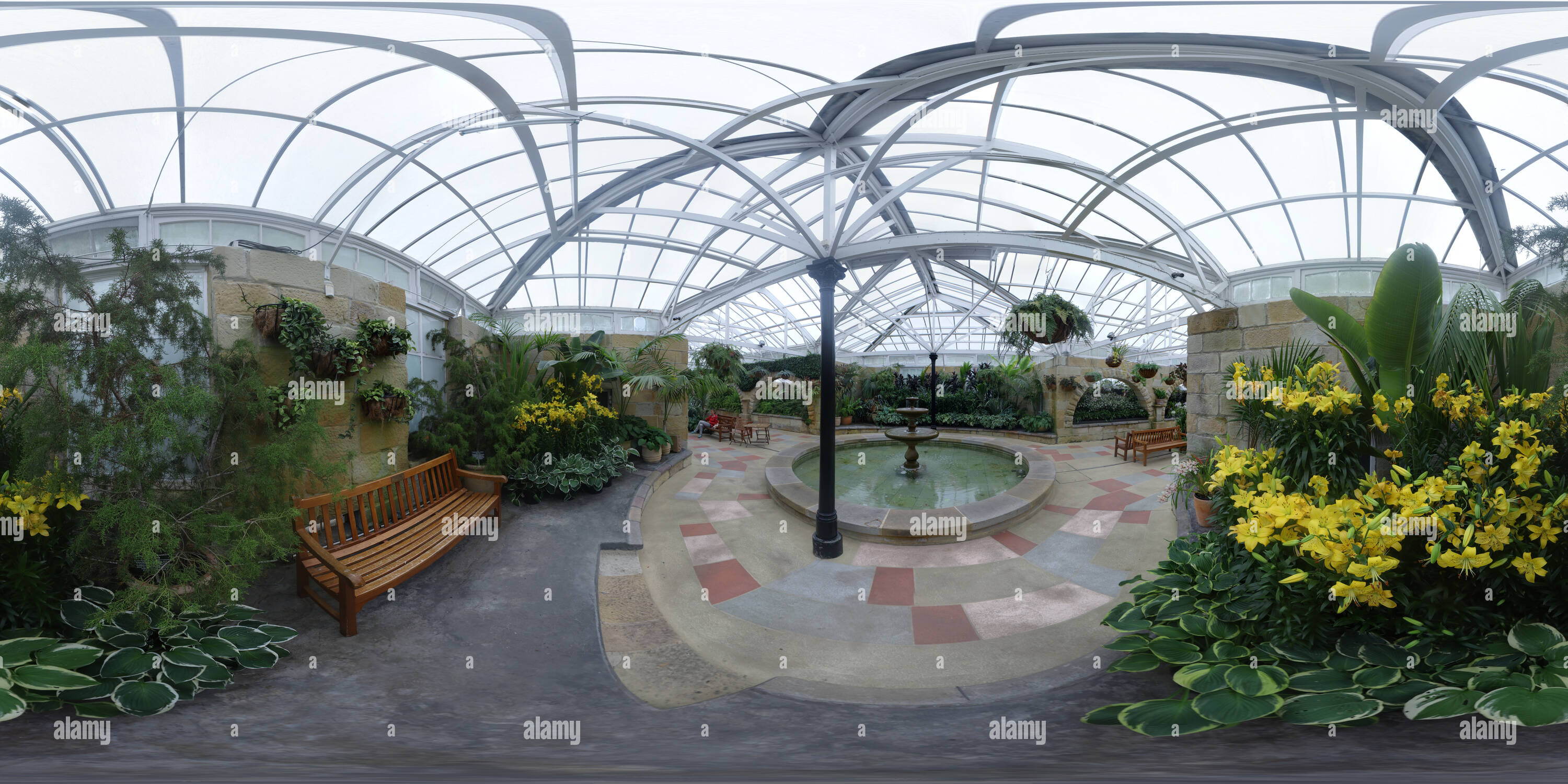 360 degree panoramic view of The Conservatory at the Royal Tasmanian Botanical Gardens