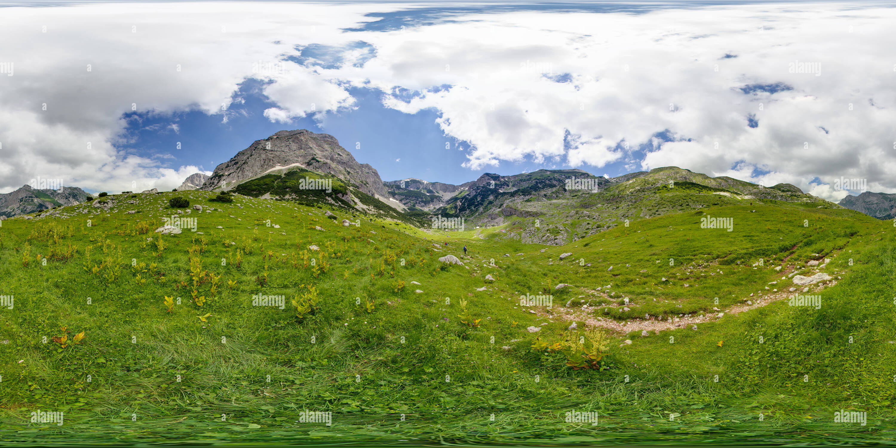 360 degree panoramic view of Mountain pastures