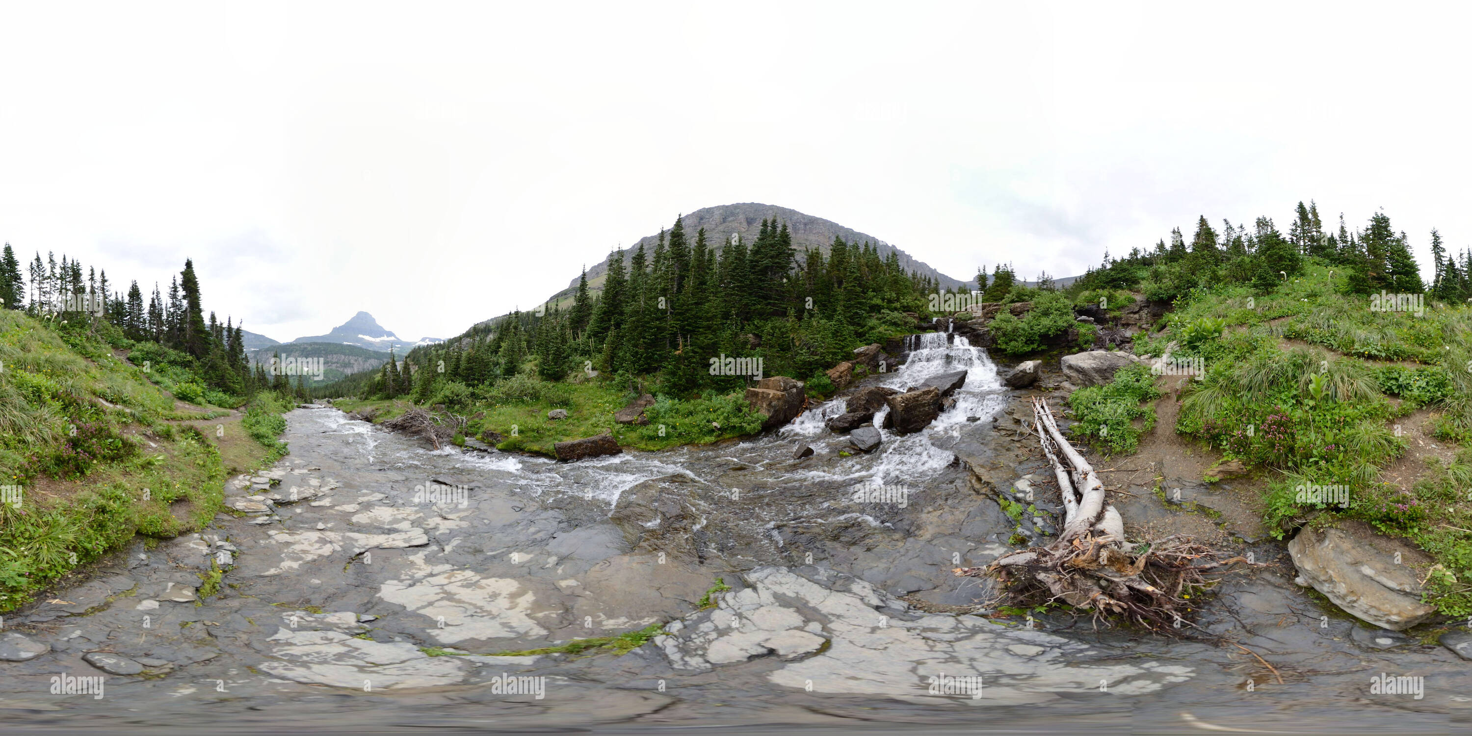 360° view of Lunch Creek Glacier National Park Montana Alamy