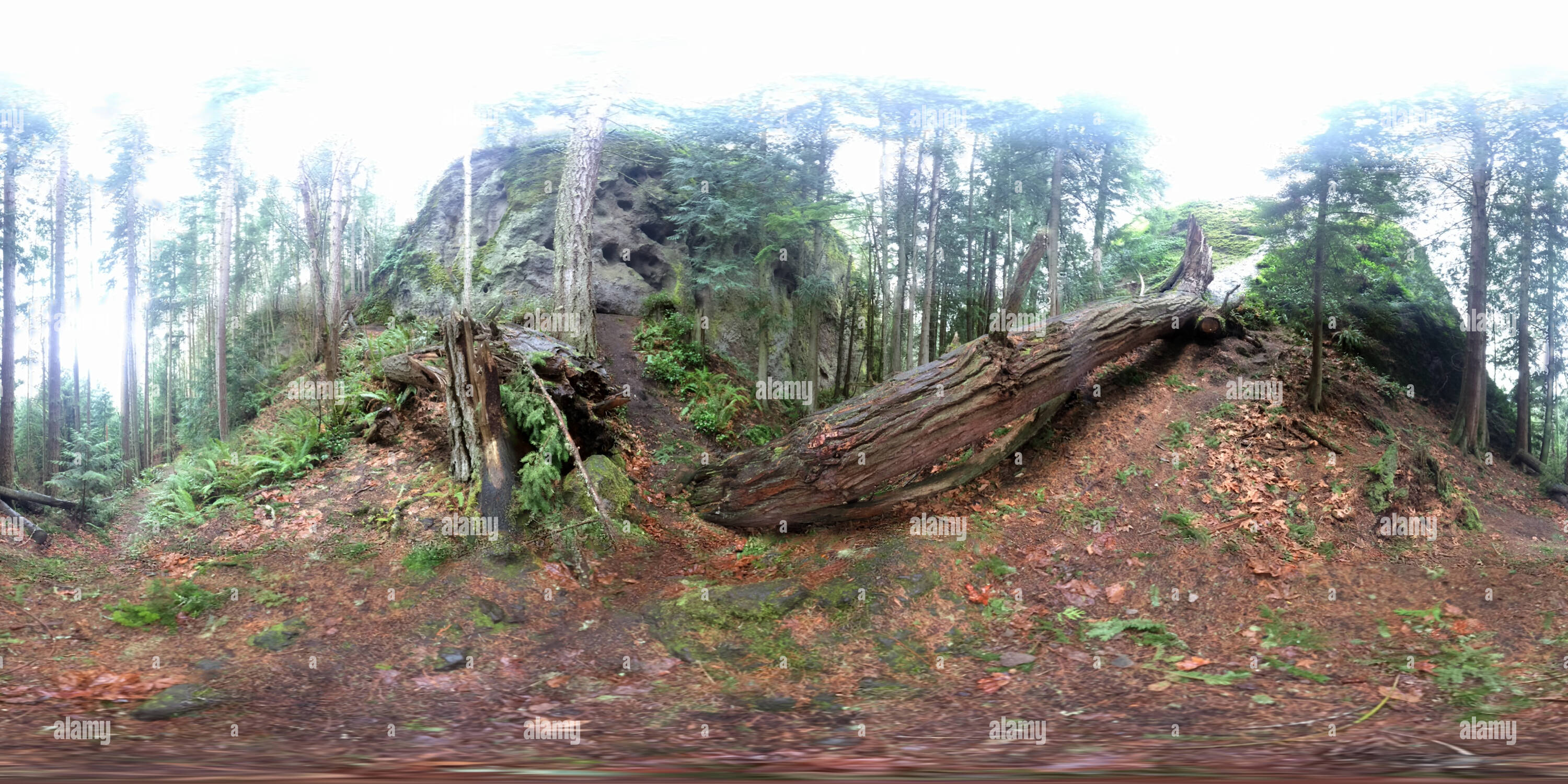 360 degree panoramic view of Chimacum Rock, Chimacum WA