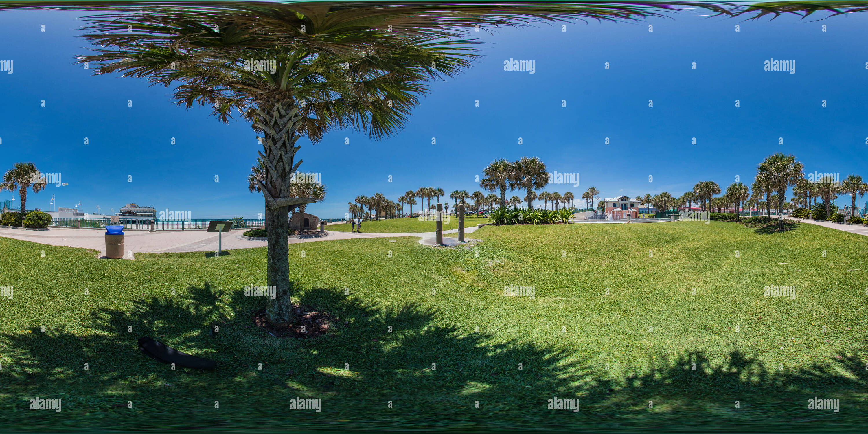 360° view of Daytona BeachHot summer dayUnder Palm tree relaxation