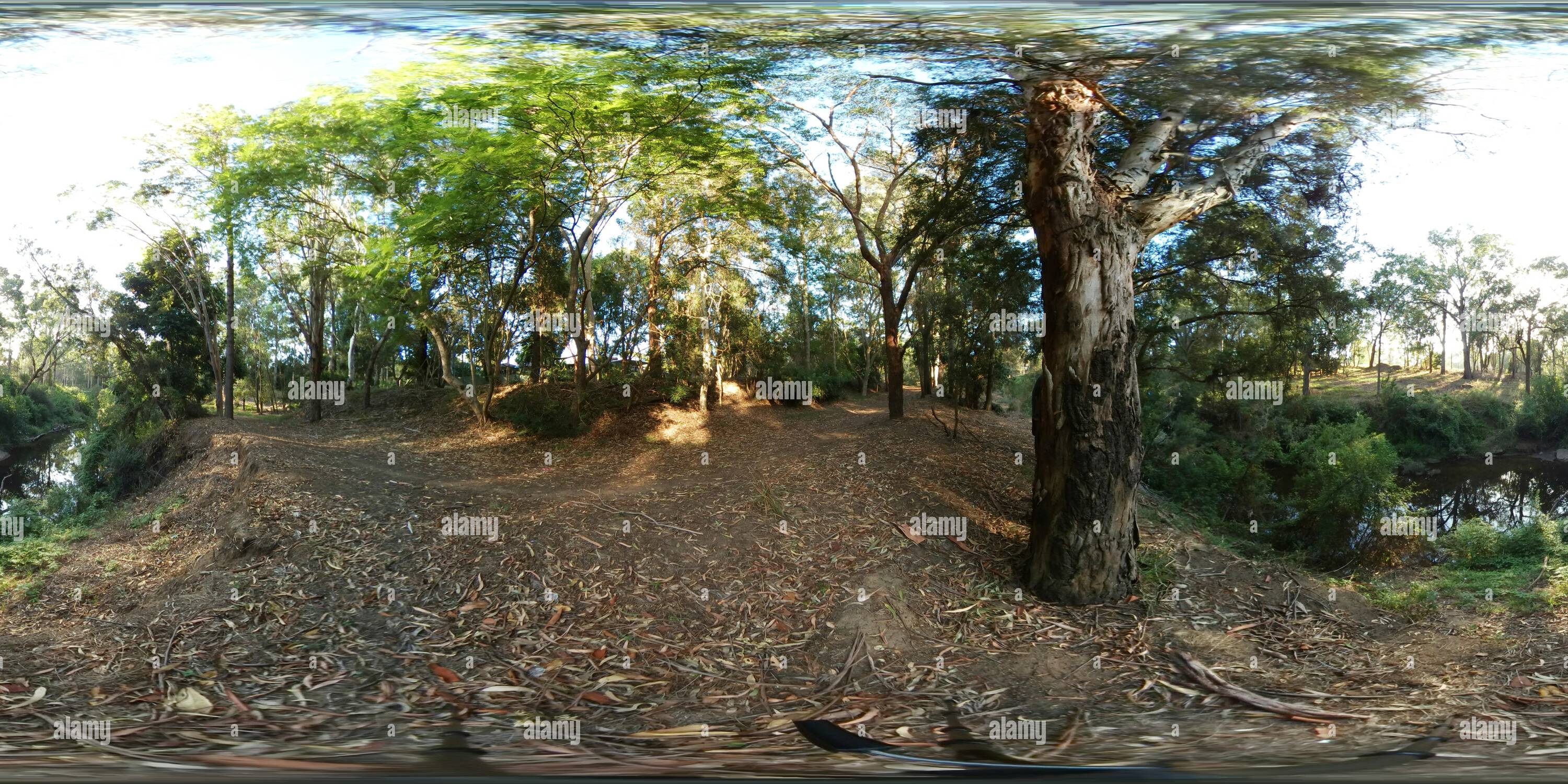 360° view of Toongabbie Creek, Winston Hills Alamy