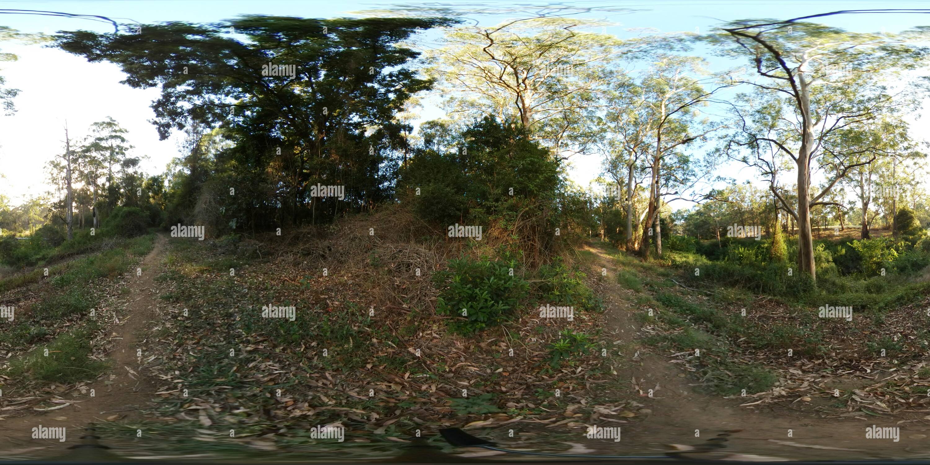 360° view of Toongabbie Creek, Winston Hills Alamy