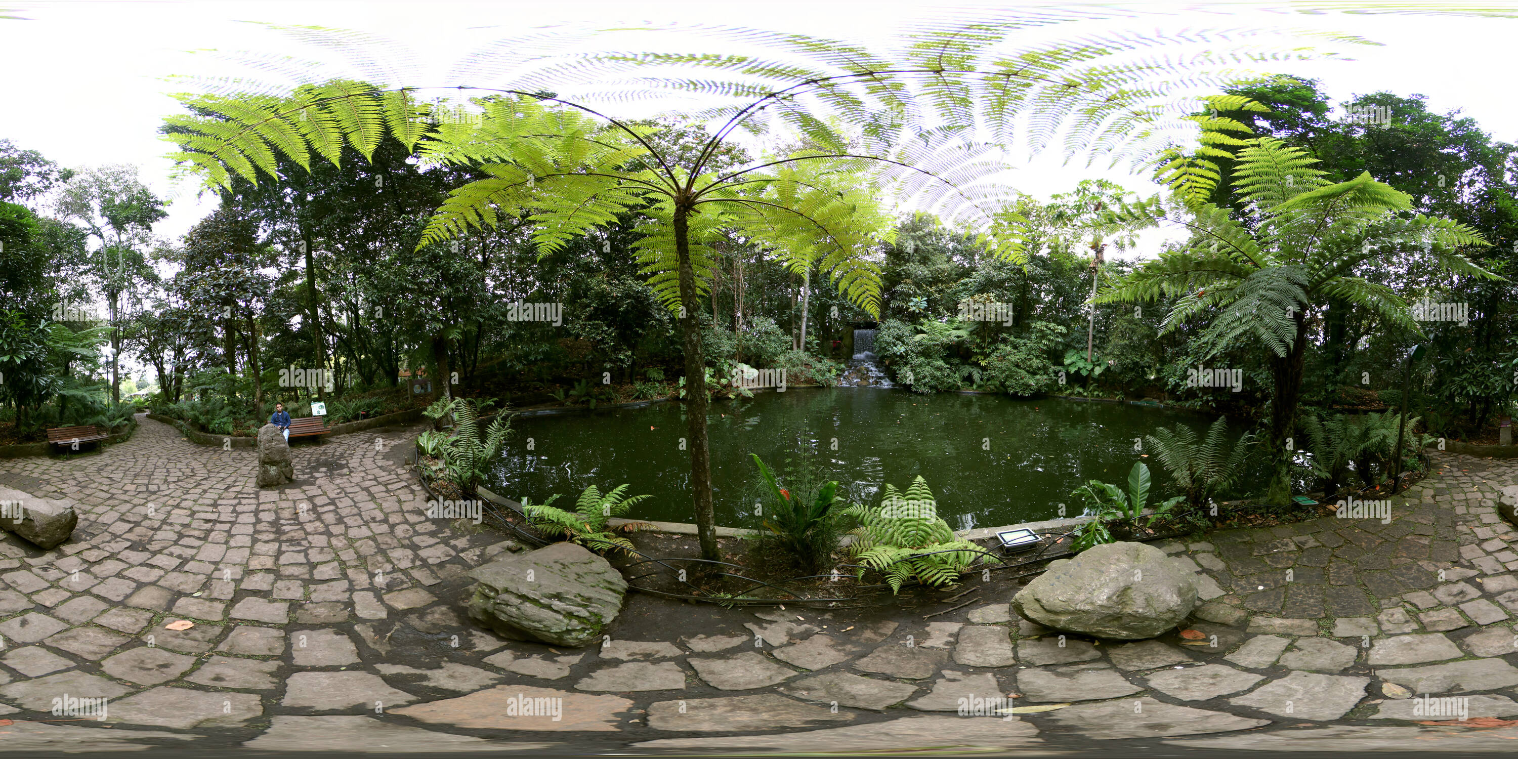 View Of Bogot Botanical Garden Alamy