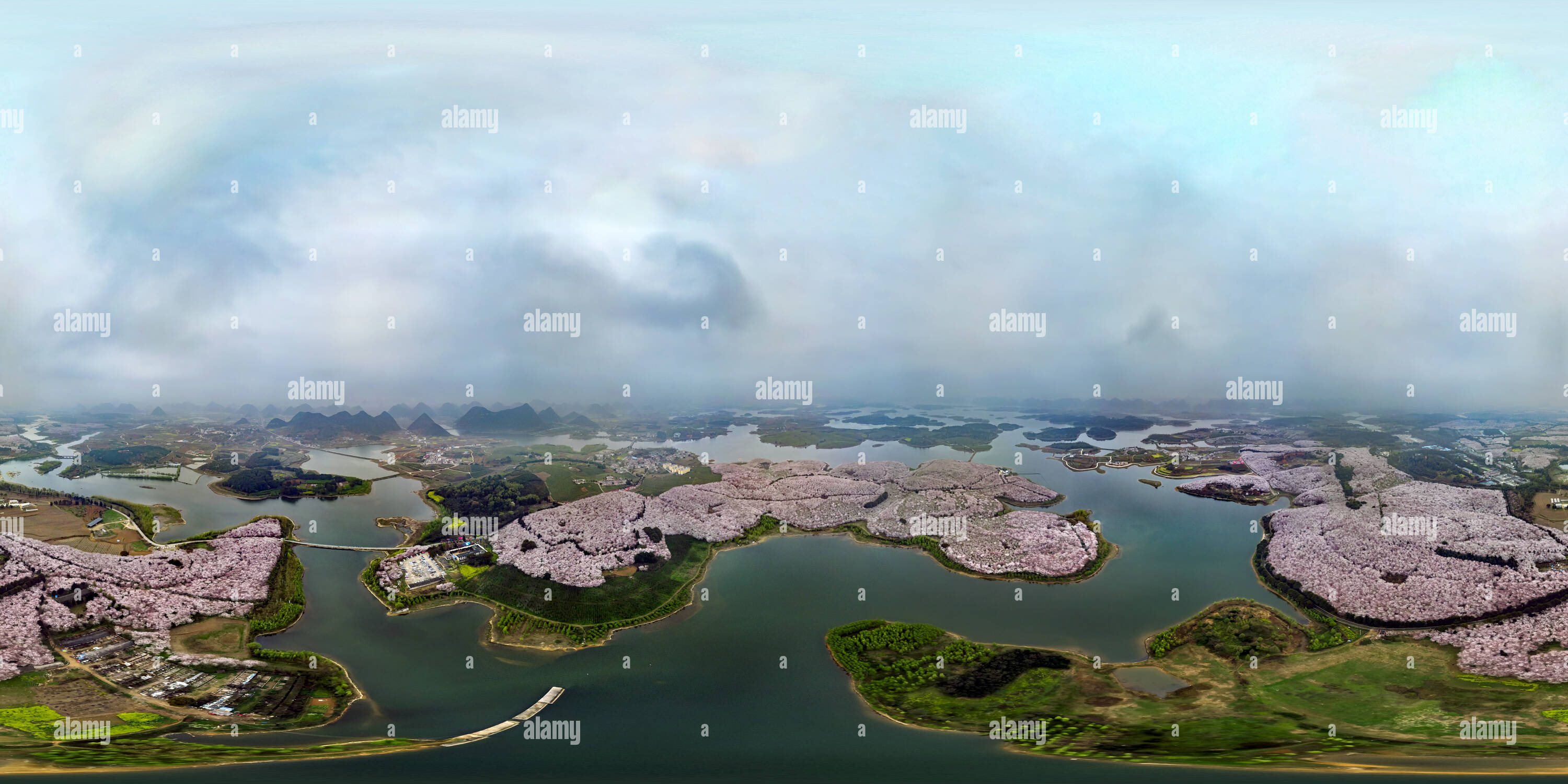 360° view of Cherry Blossom Season(貴州平壩農場櫻花季) Pingba County, Guizhou ...