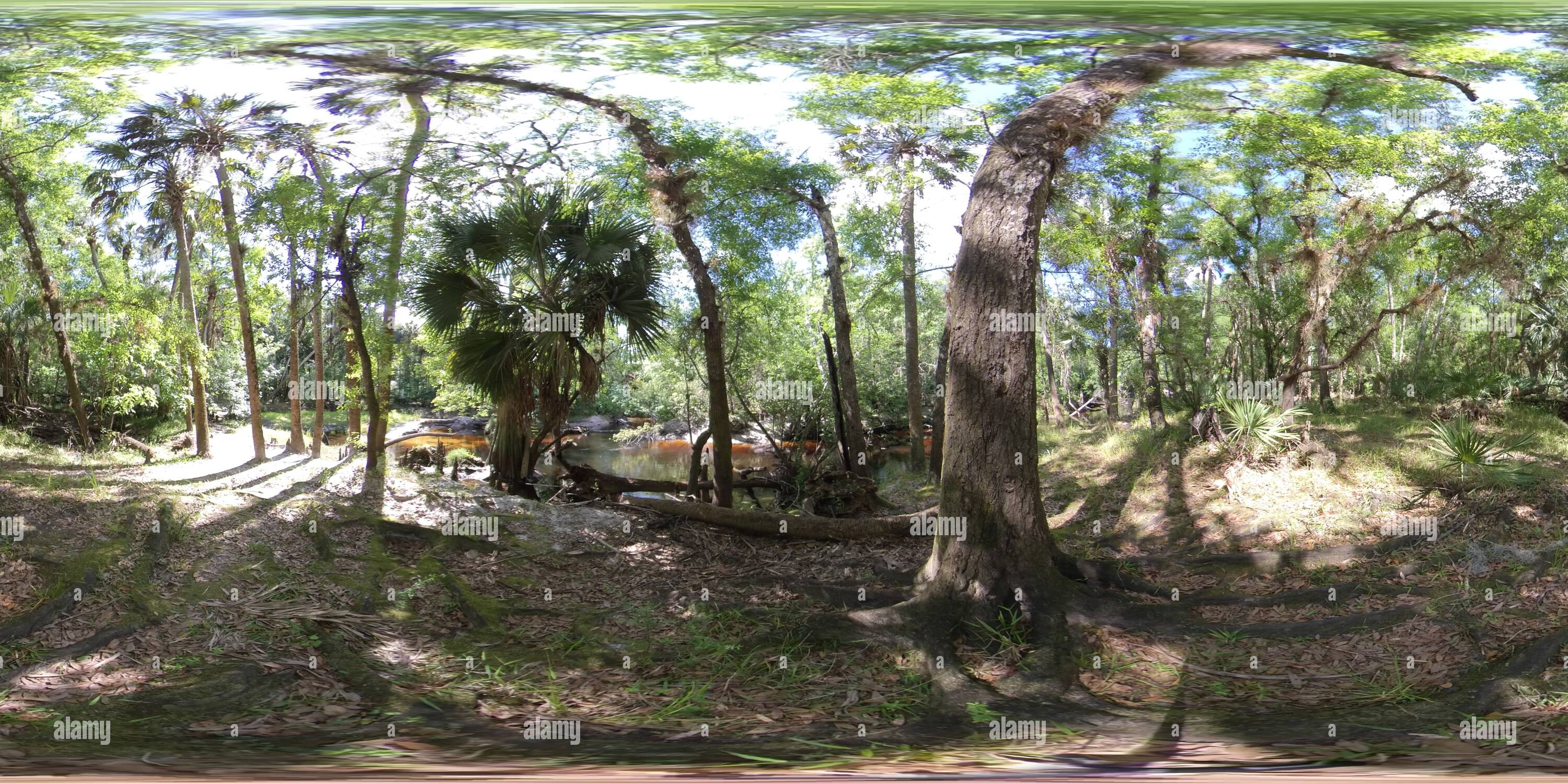 360 degree panoramic view of Little Econ River