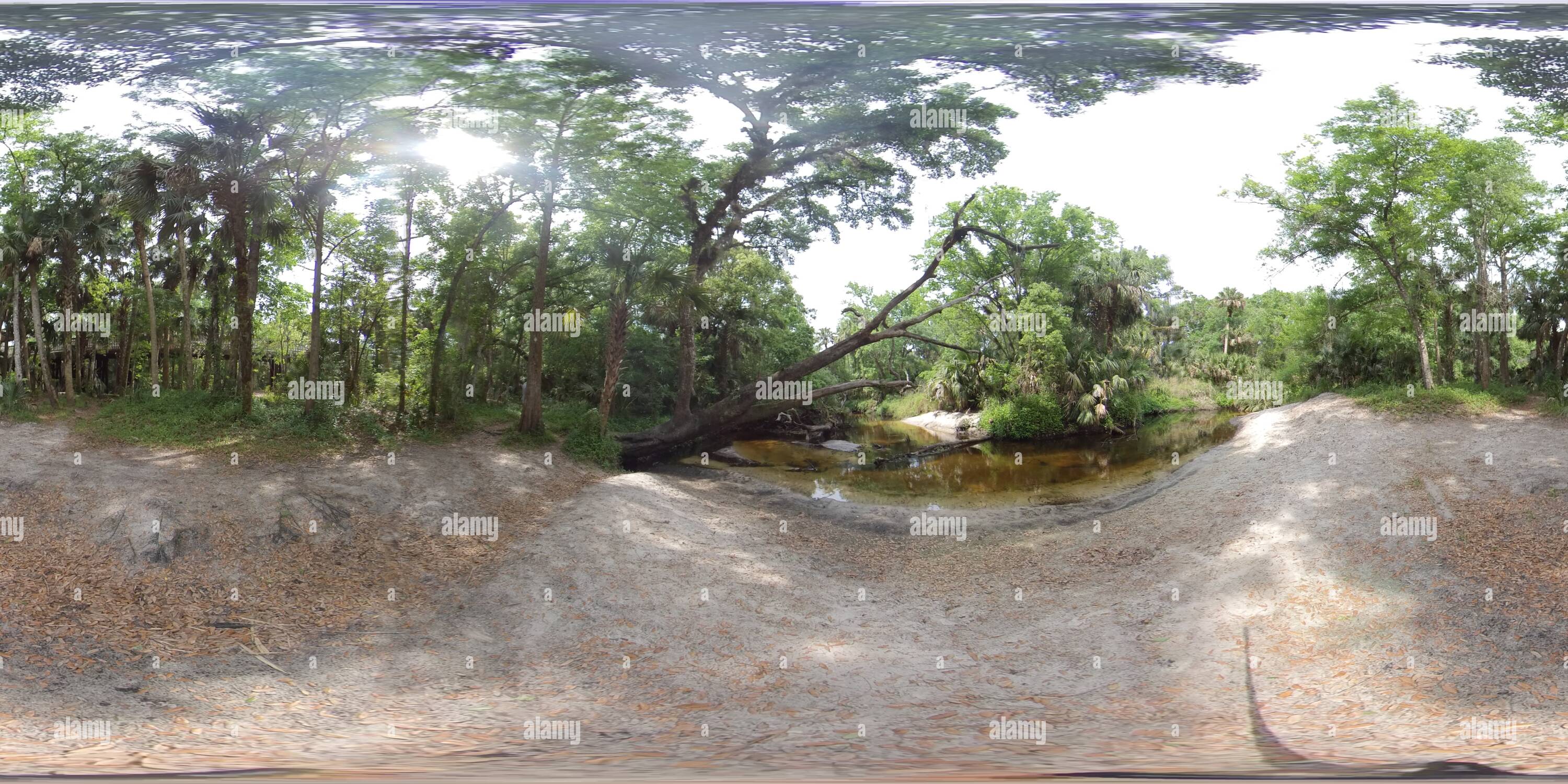 360 degree panoramic view of Howell Creek, Florida