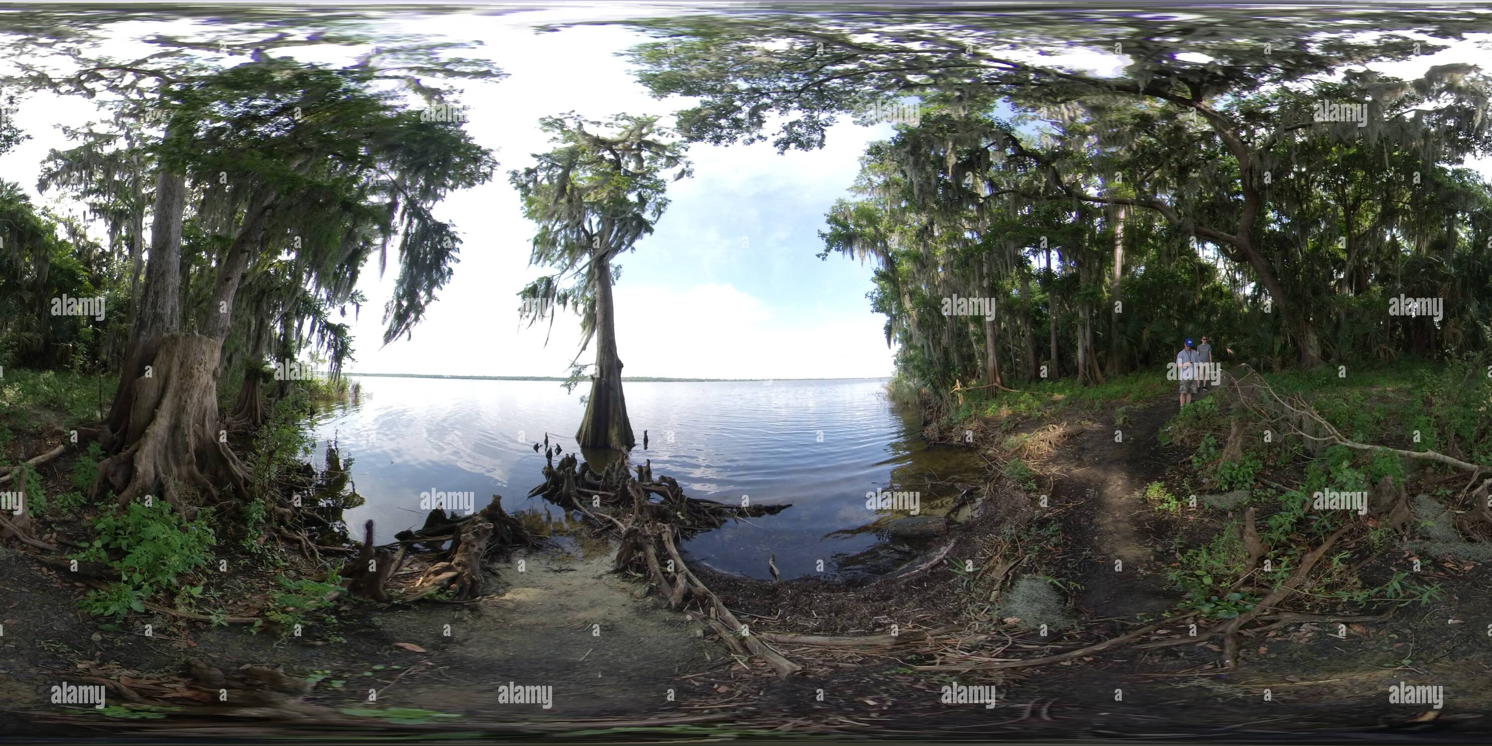 360 degree panoramic view of Lake Jesup, Florida