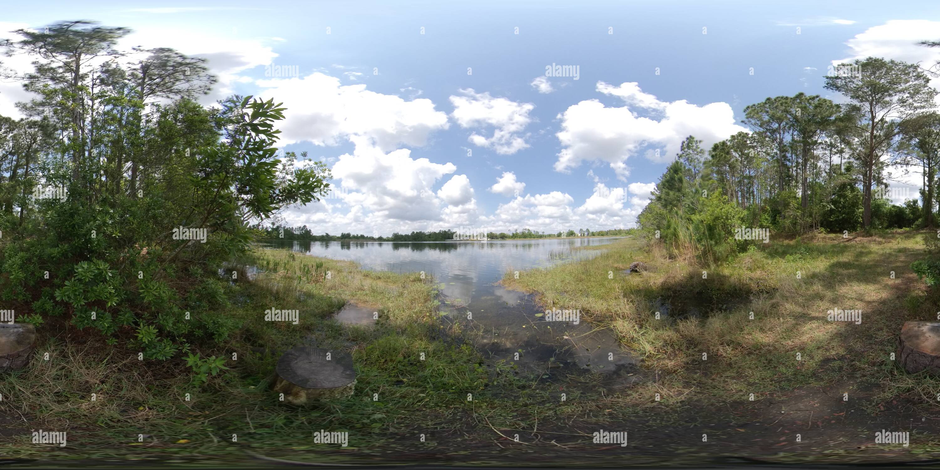 360 degree panoramic view of Lake Ruth, Orlando