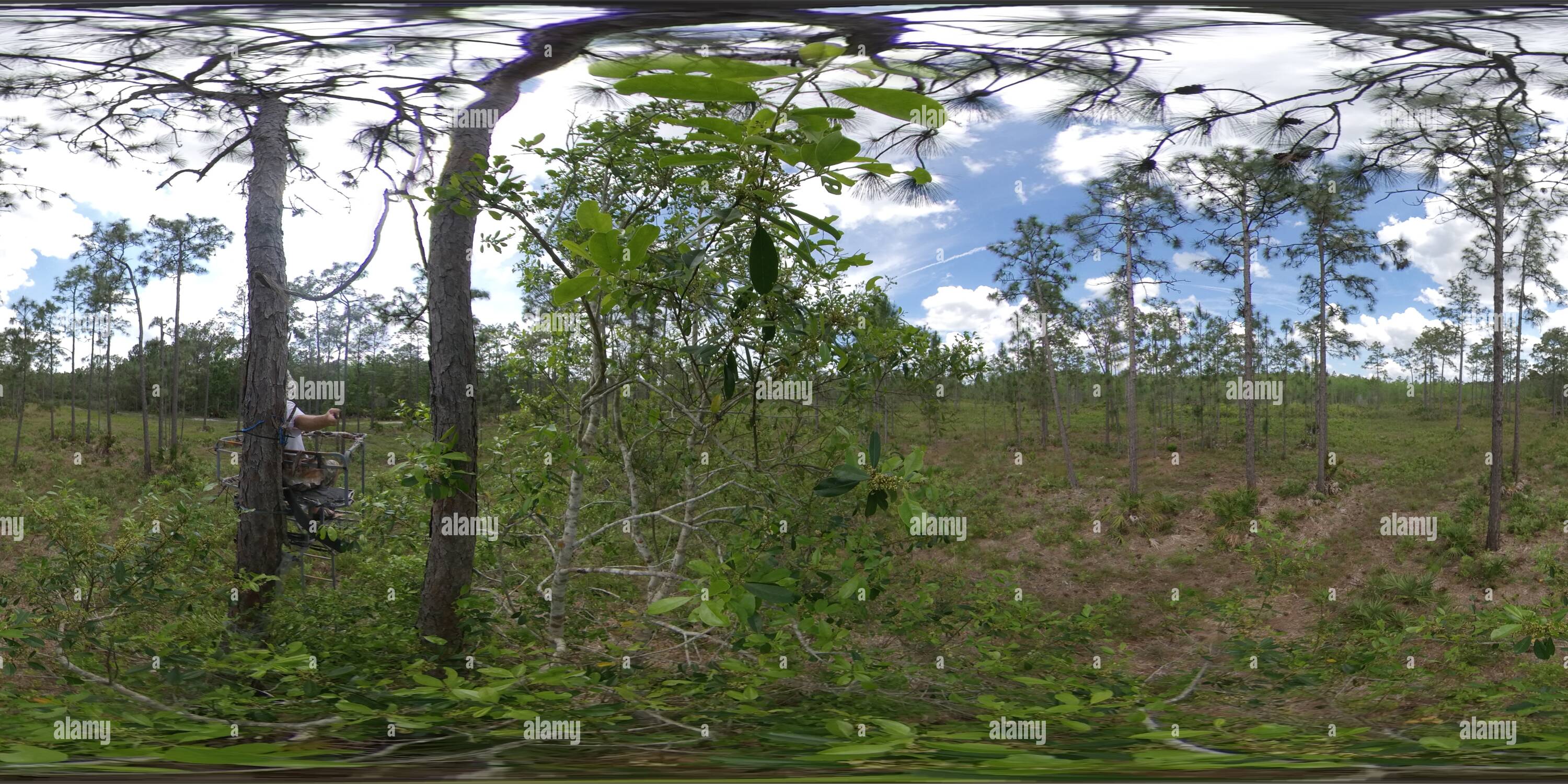 360 degree panoramic view of Florida Ranch