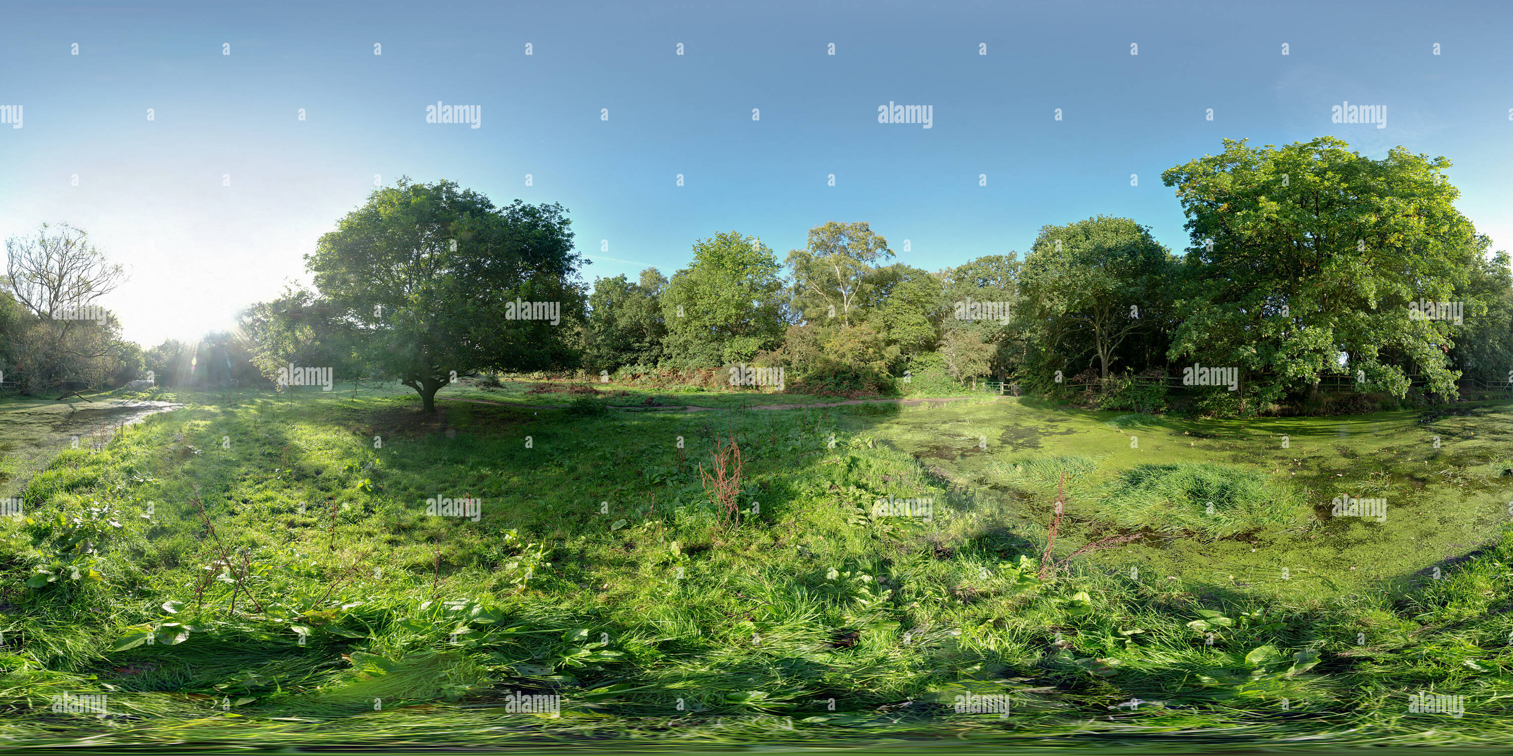 360° view of Ruislip Common, the pond Alamy