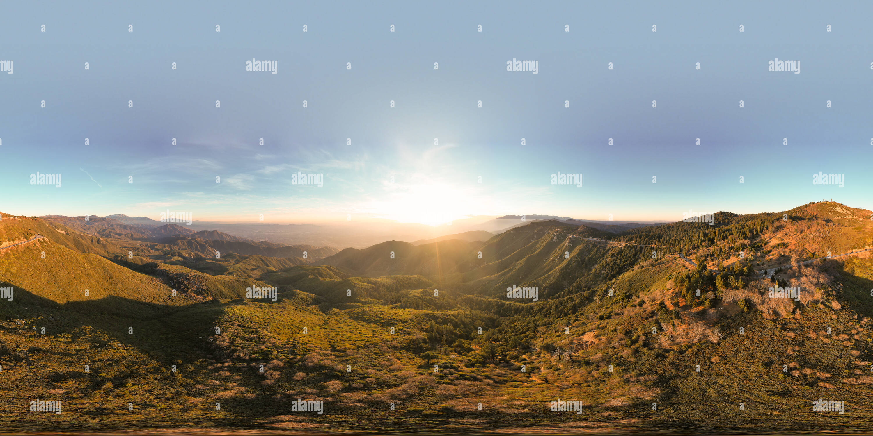 Rimforest hires stock photography and images Alamy