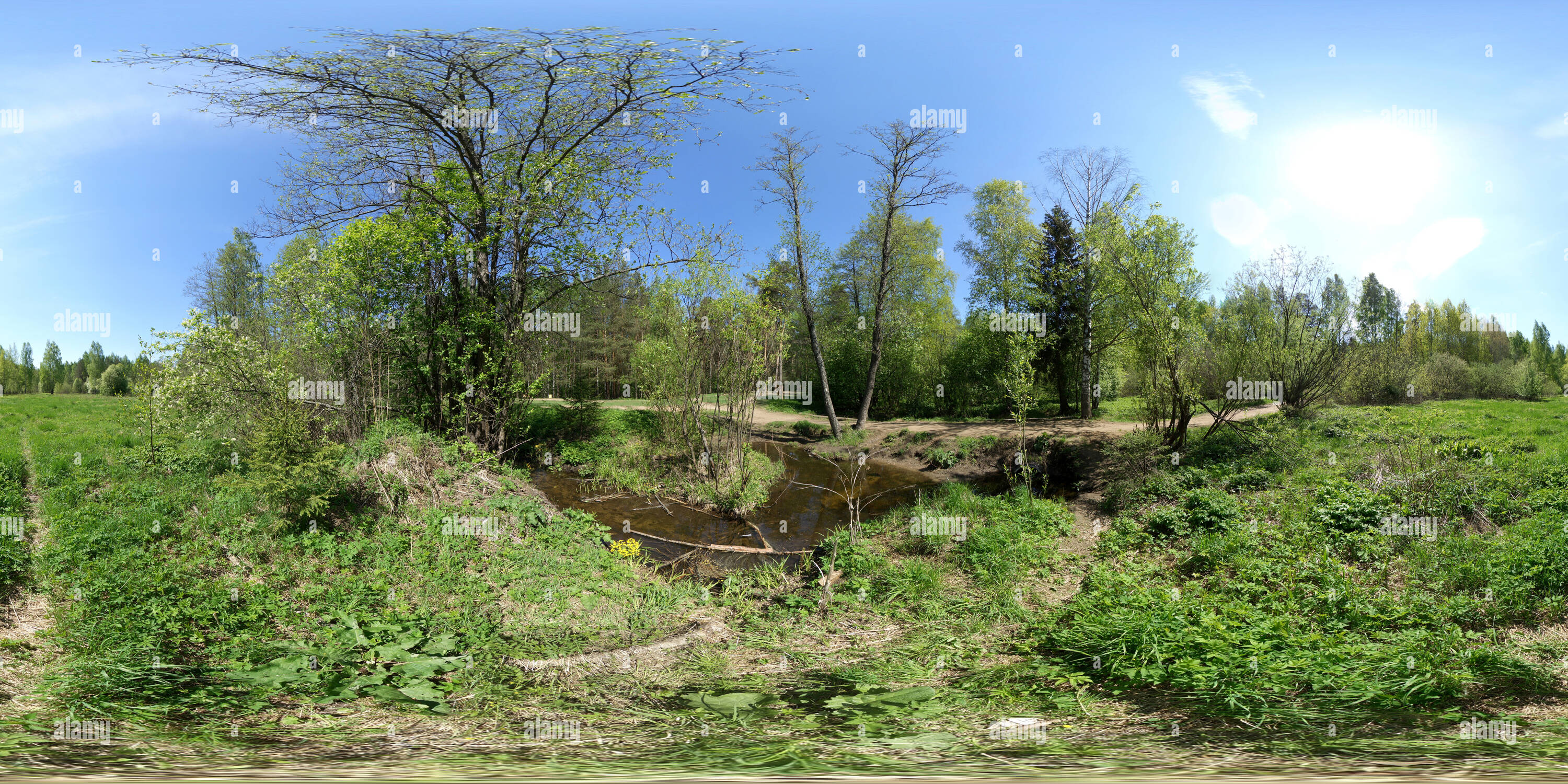 360° view of Ручей. Заливной луг 2019 - Alamy