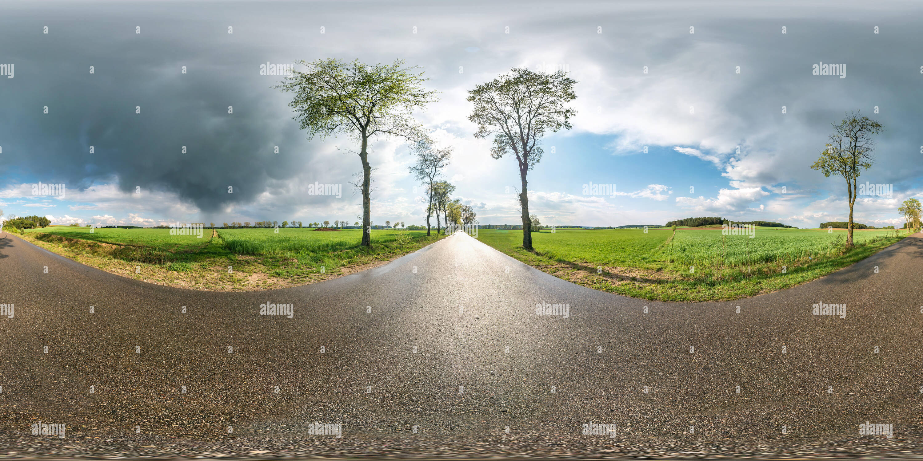 Full Spherical Seamless Panorama 360 Degrees Angle View On No Traffic Asphalt Road Among Alley And Fields With Awesome Clouds After Rain In Equirectan TDDK78 