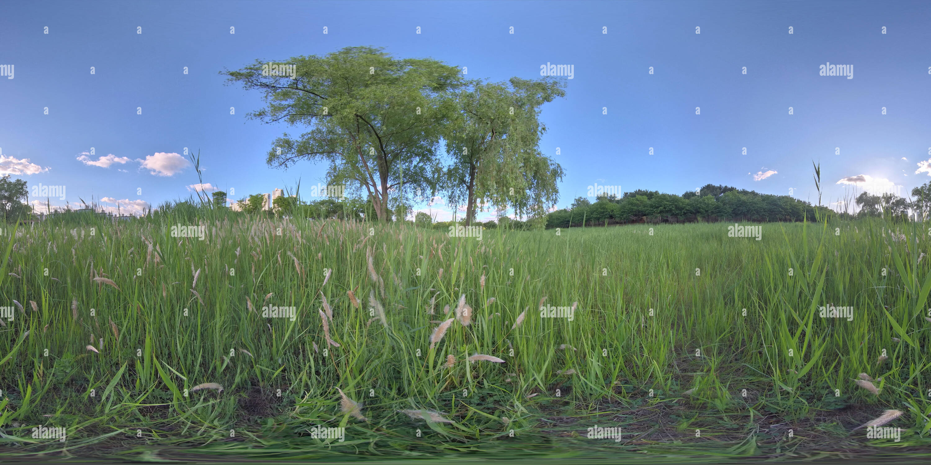 360 degree panoramic view of Ansan, South Korea - 7 June 2019. Panorama 360 degrees view in park. Forest and Park 360 image, VR AR content.