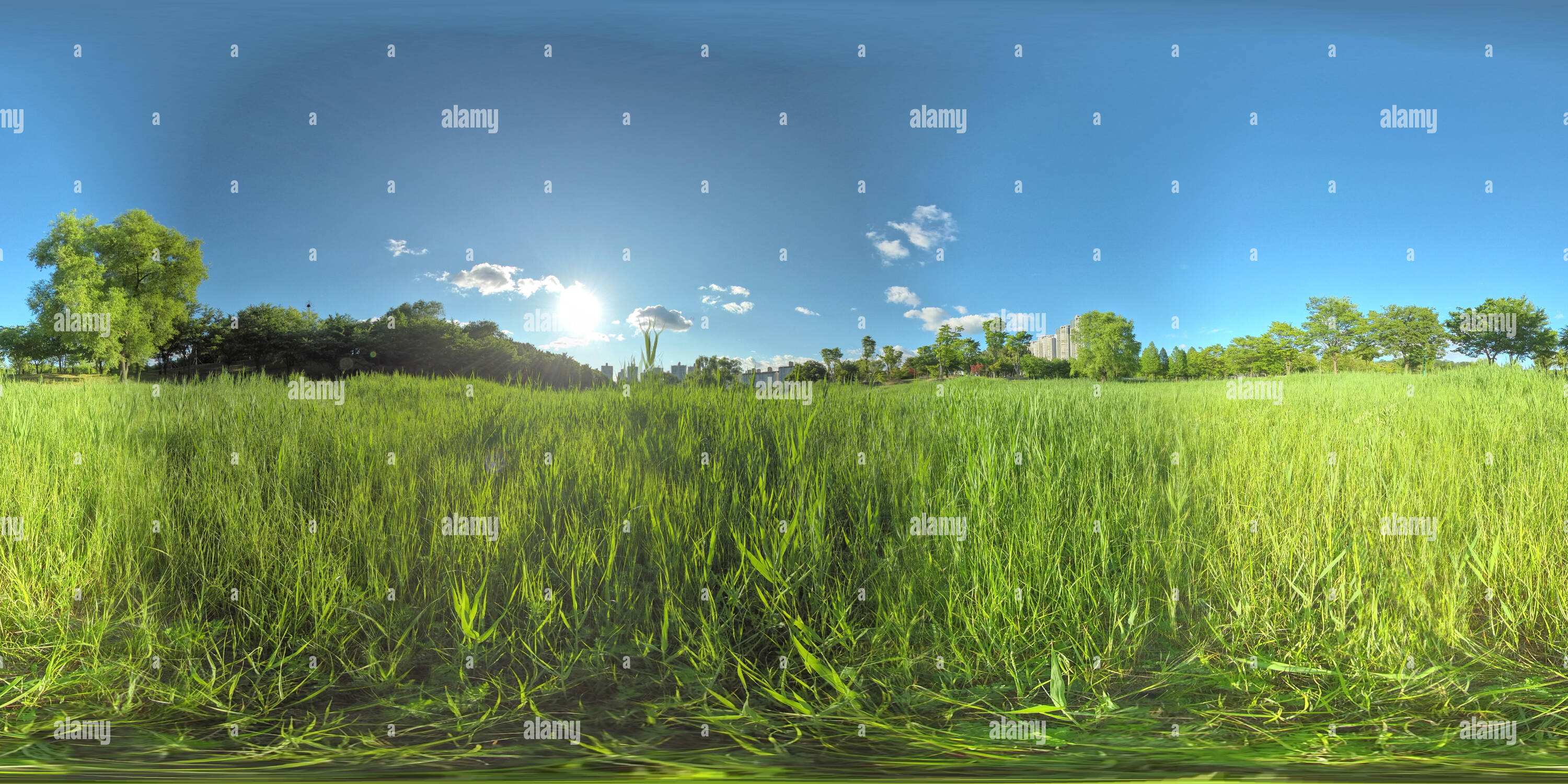 360 degree panoramic view of Ansan, South Korea - 7 June 2019. Panorama 360 degrees view in park. Forest and Park 360 image, VR AR content.