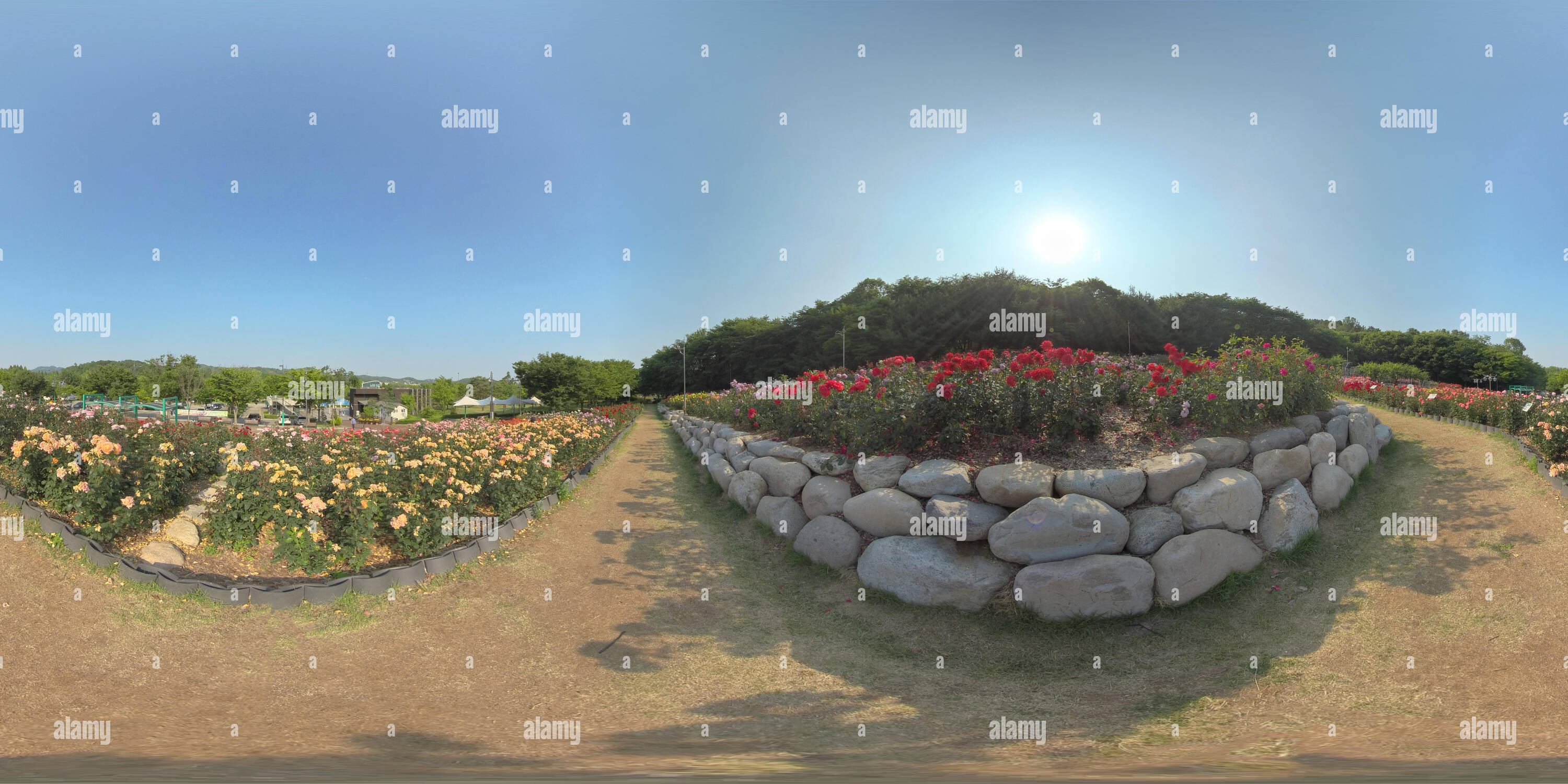 360 degree panoramic view of Ansan, South Korea - 12 June 2019. Panorama 360 degrees view in park. Forest and Park 360 image, VR AR content.