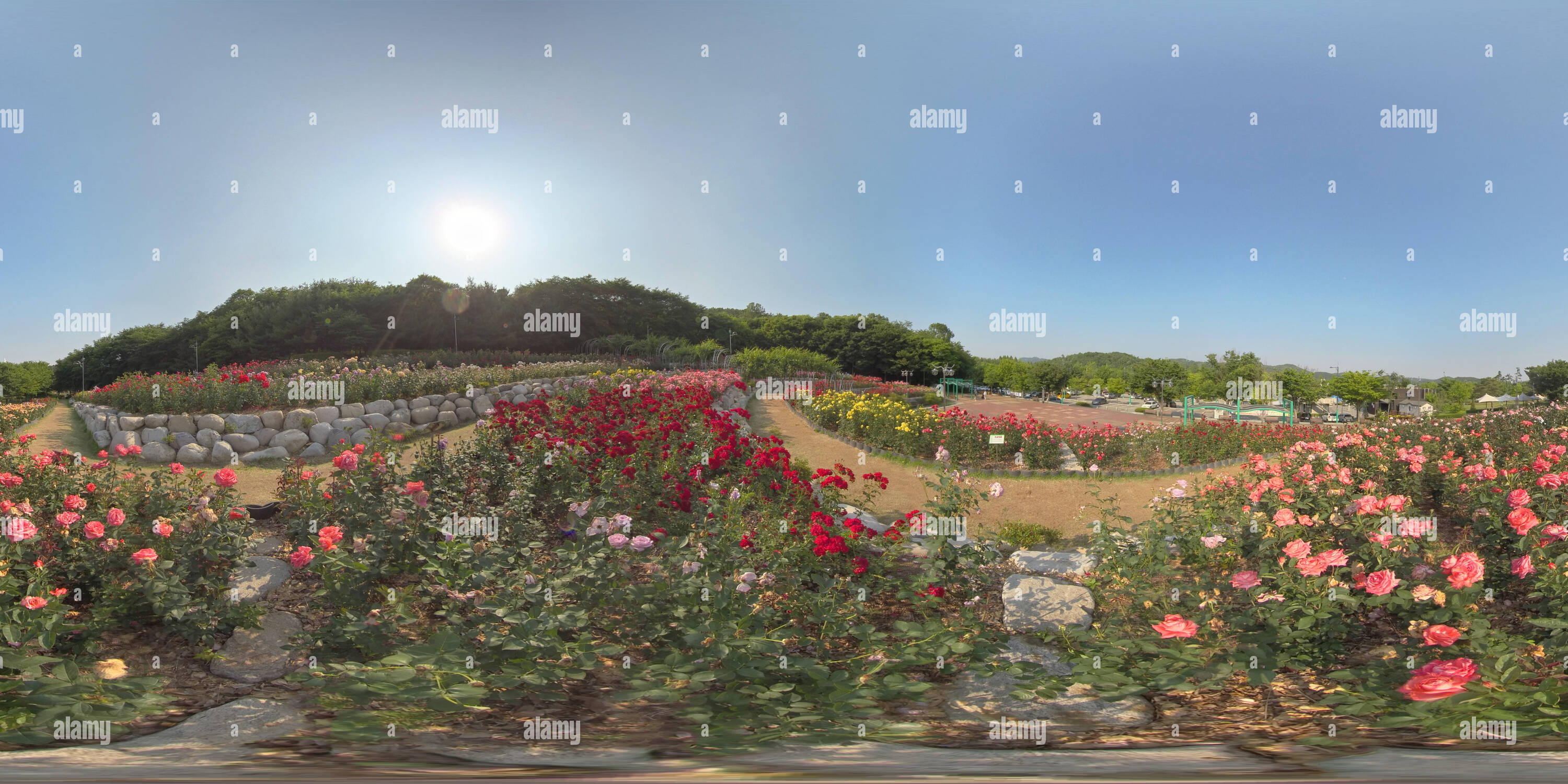 360 degree panoramic view of Ansan, South Korea - 12 June 2019. Panorama 360 degrees view in park. Forest and Park 360 image, VR AR content.