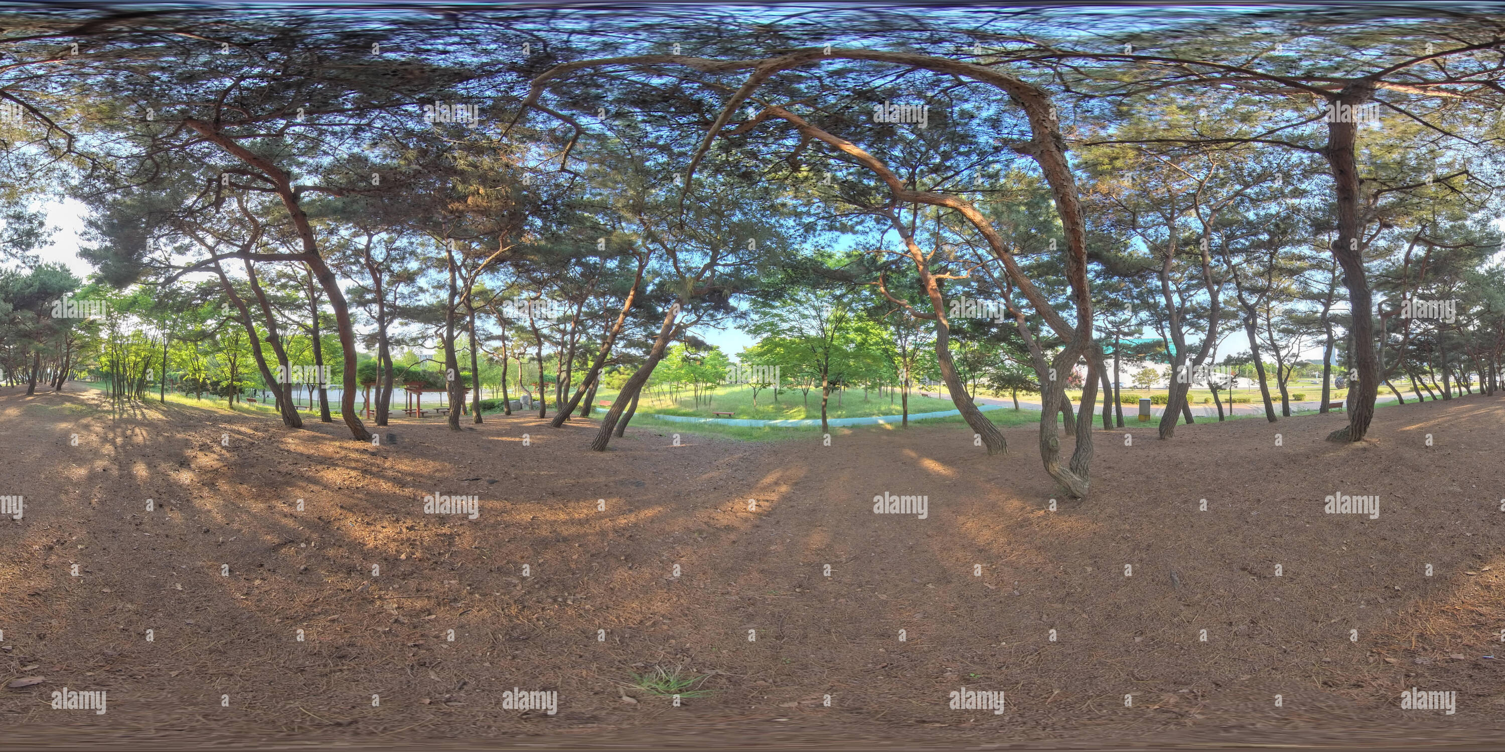 360 degree panoramic view of Ansan, South Korea - 12 June 2019. Panorama 360 degrees view in park. Forest and Park 360 image, VR AR content.