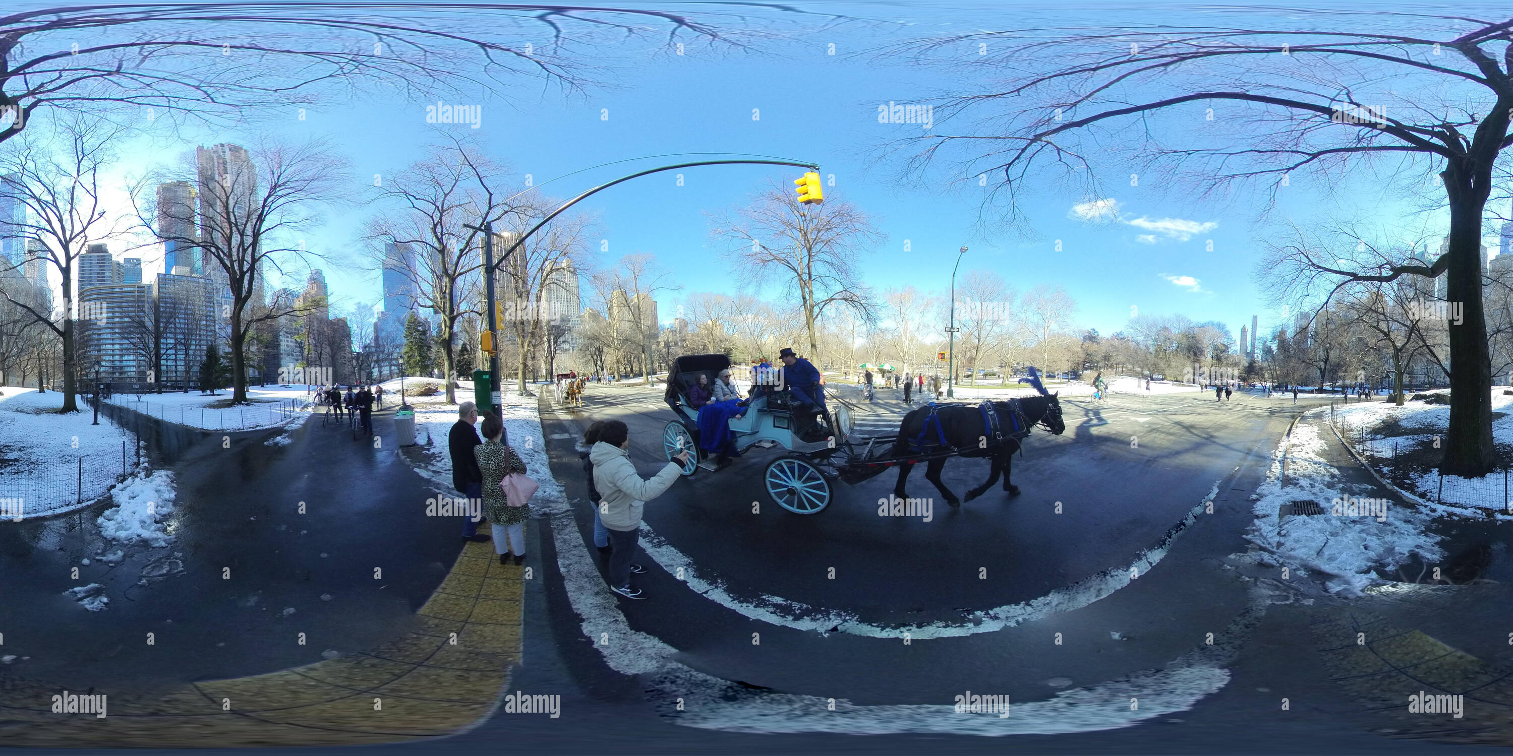 Central park winter horse hi-res stock photography and images - Alamy