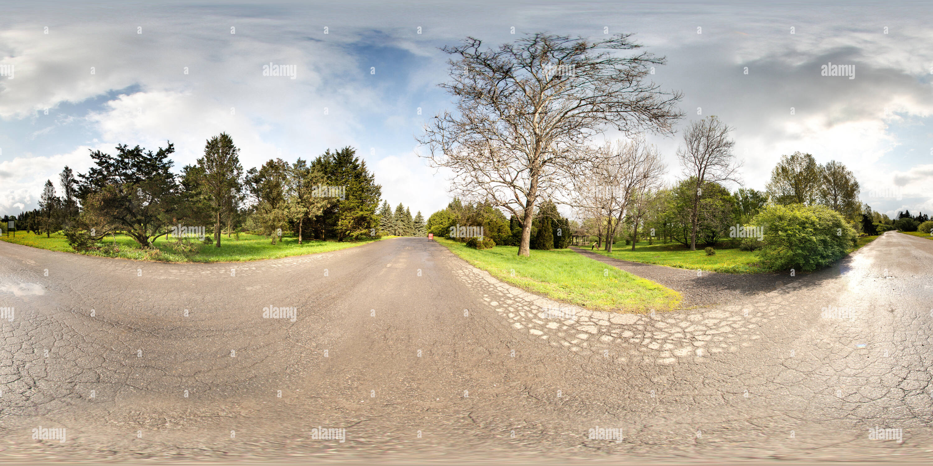 360 degree panoramic view of Frederic Back Tree Pavilion - Montreal Botanical Garden