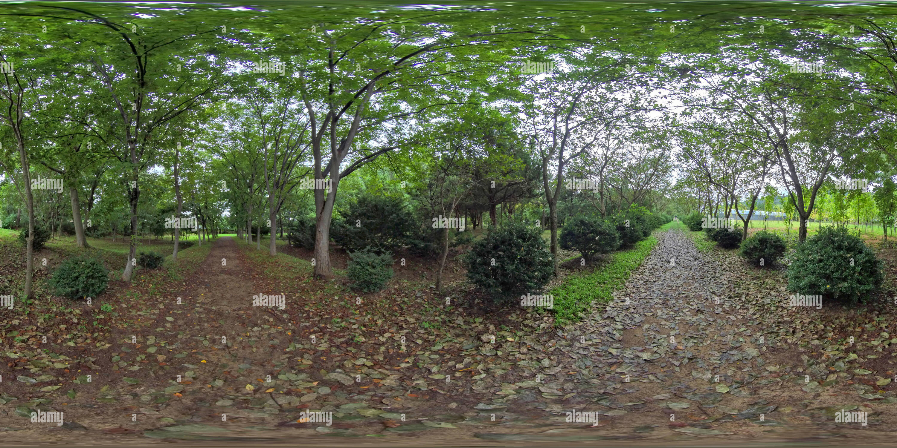 360 degree panoramic view of Gyeongju, South Korea 27 August 2019: 360VR Arboretum in Korea. Garden and Park. AR/VR content.