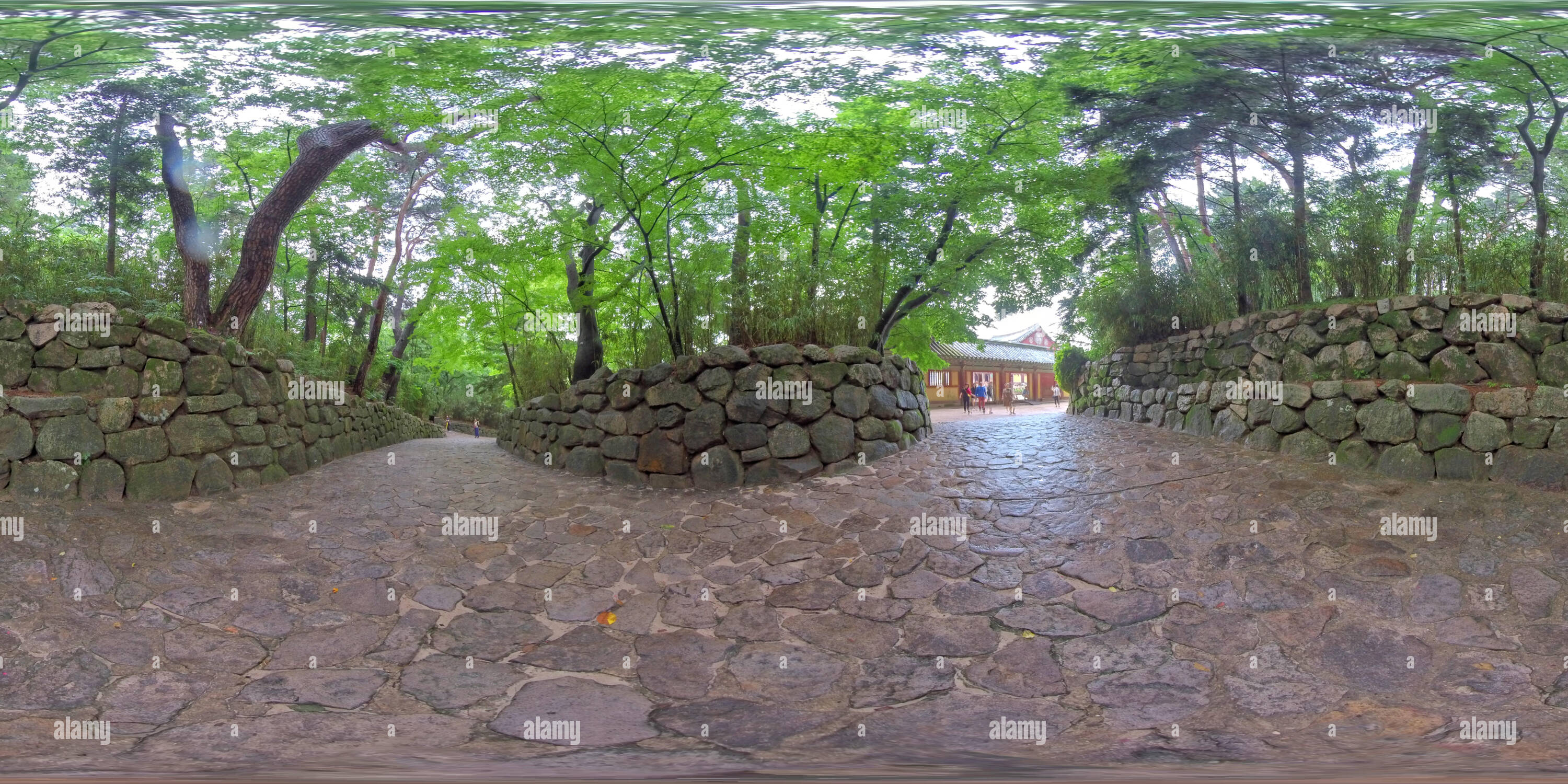 360 degree panoramic view of Gyeongju, South Korea 27 August 2019: 360VR World Heritage Site Bulguksa Temple. Bulguksa Temple is a representative relic of Buddhist culture from th