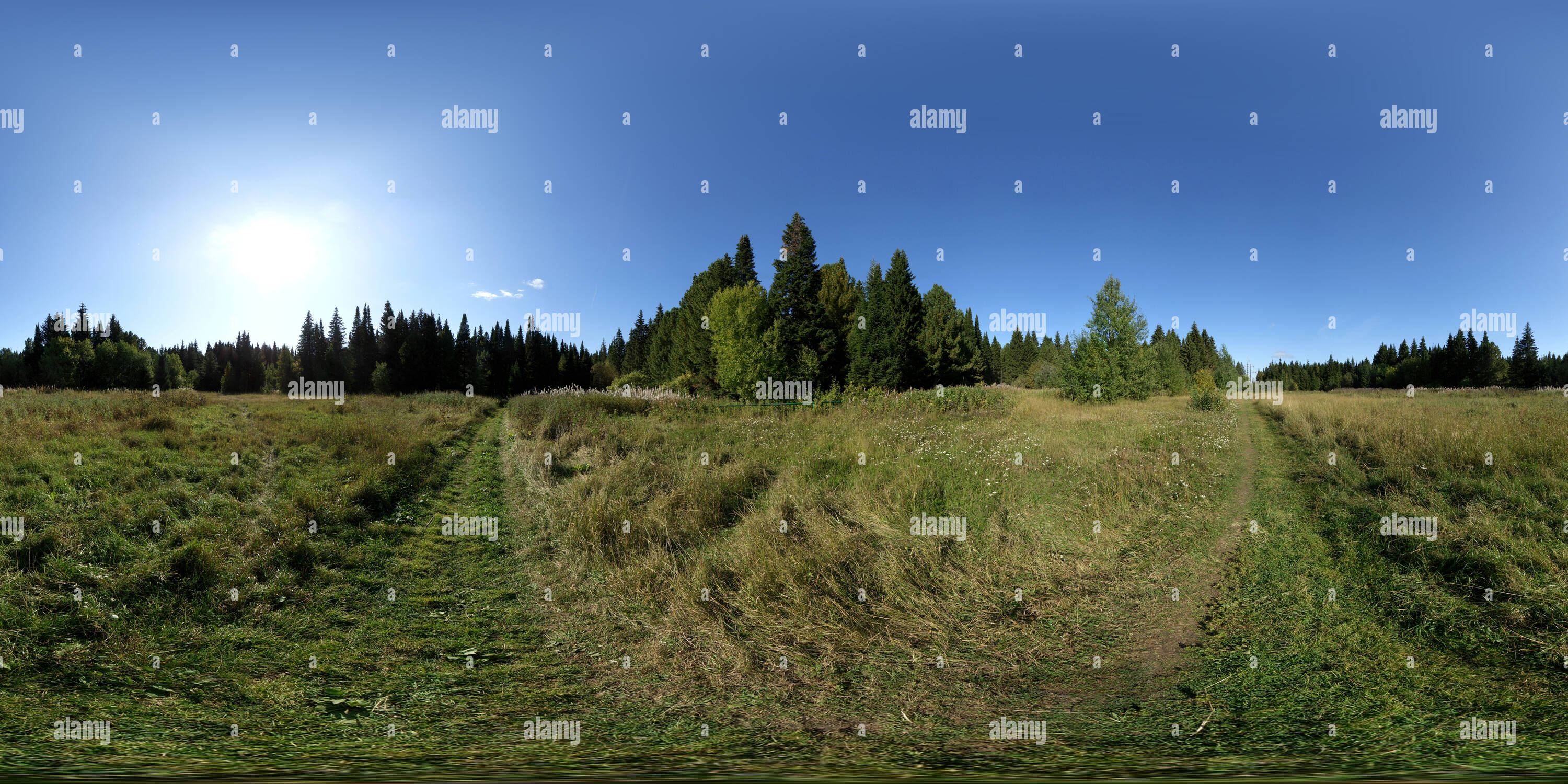 360° view of Большая поляна 2019 - Alamy