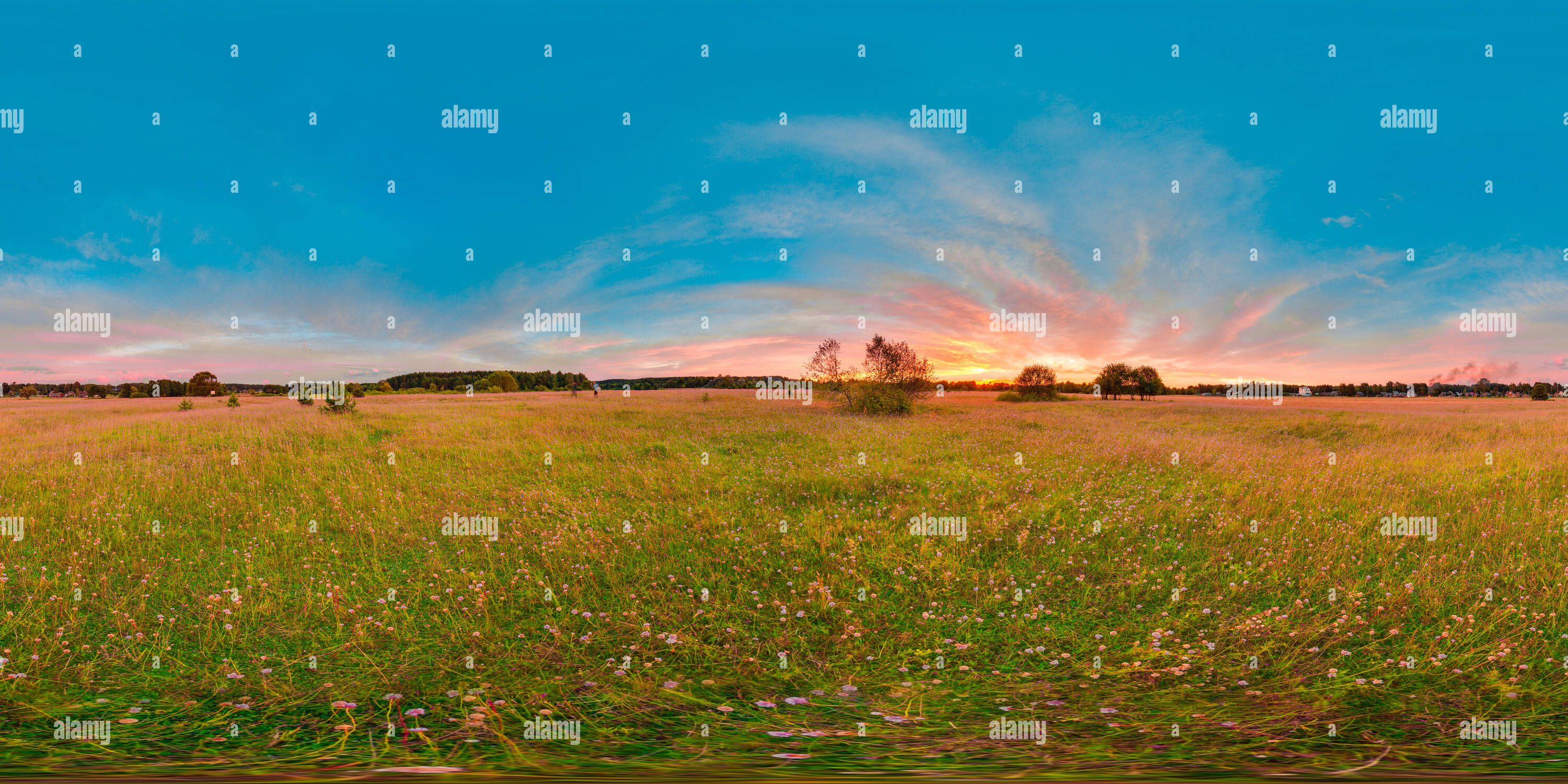 360 Grad Panorama Ansicht von Sonnenuntergang bzw. Sonnenaufgang im grünen Feld mit blauem Himmel mit rosa Farbe. 3D-Sphärisches Panorama mit 360 Betrachtungswinkel. Bereit für virtuelle Realität oder VR. Ful