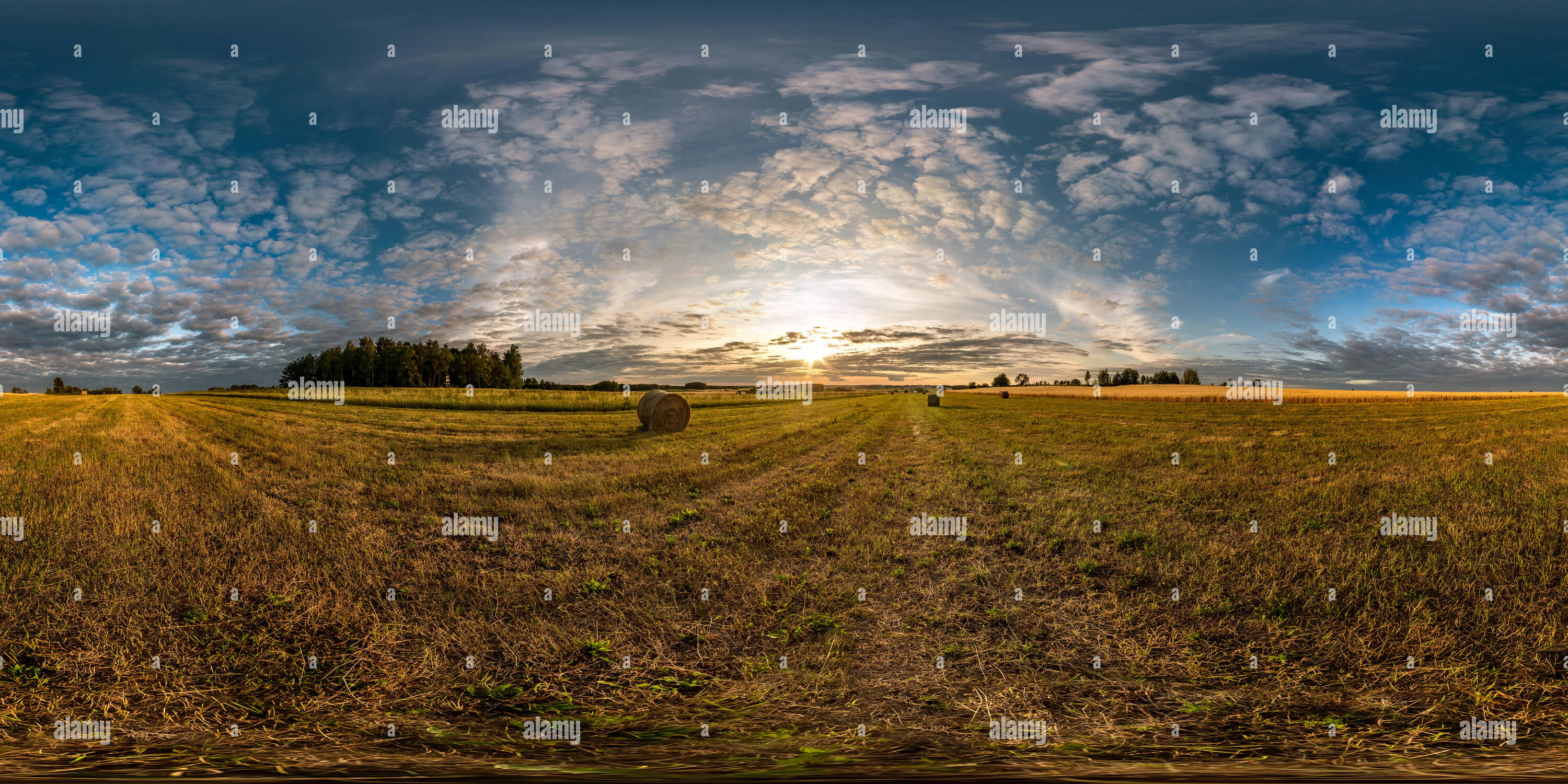CIEVIE Rückfahrkamera 1080P - 360° Drehbar Mit 150° Blickwinkel & Verlängerungskabel