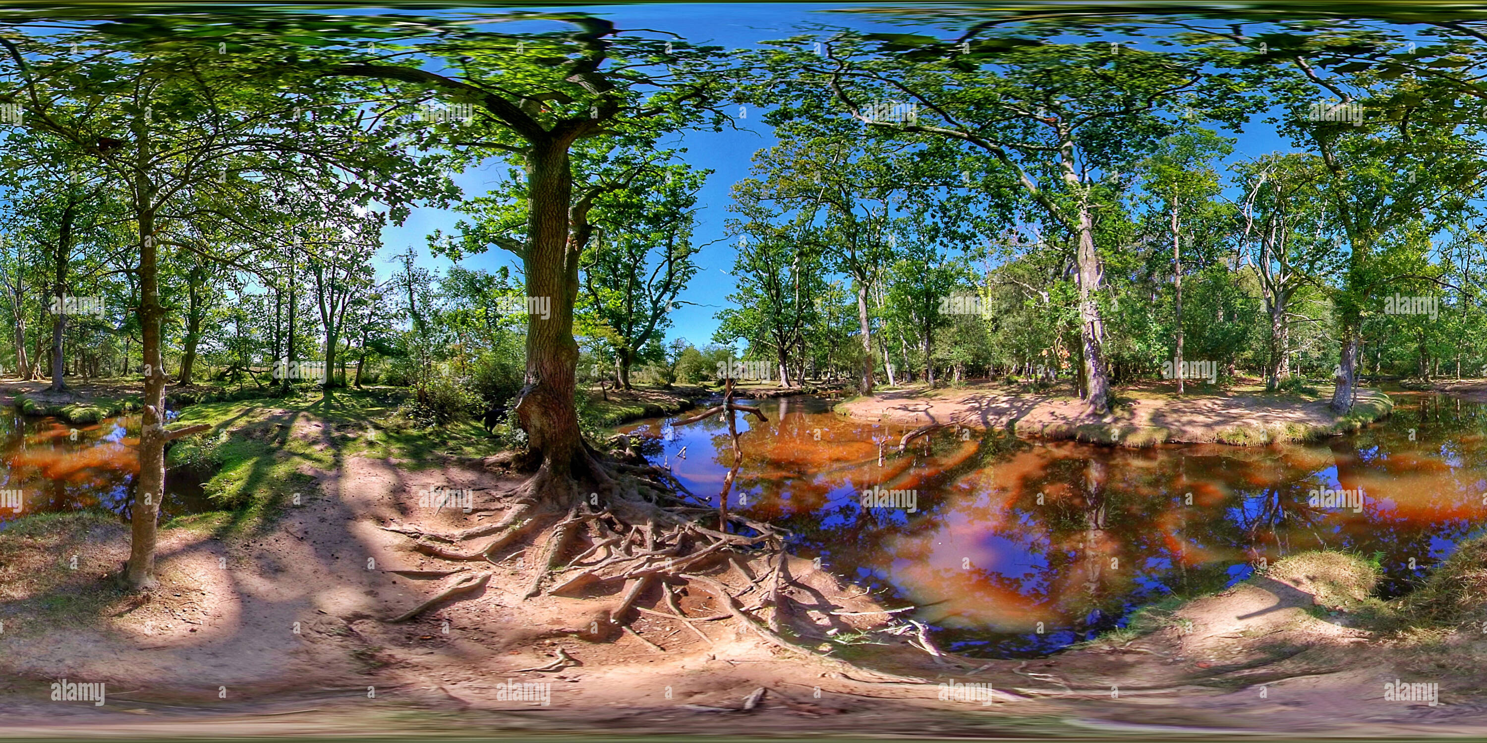 360 Grad Panorama Ansicht von New Forest Stream, Ober Water (360VR)