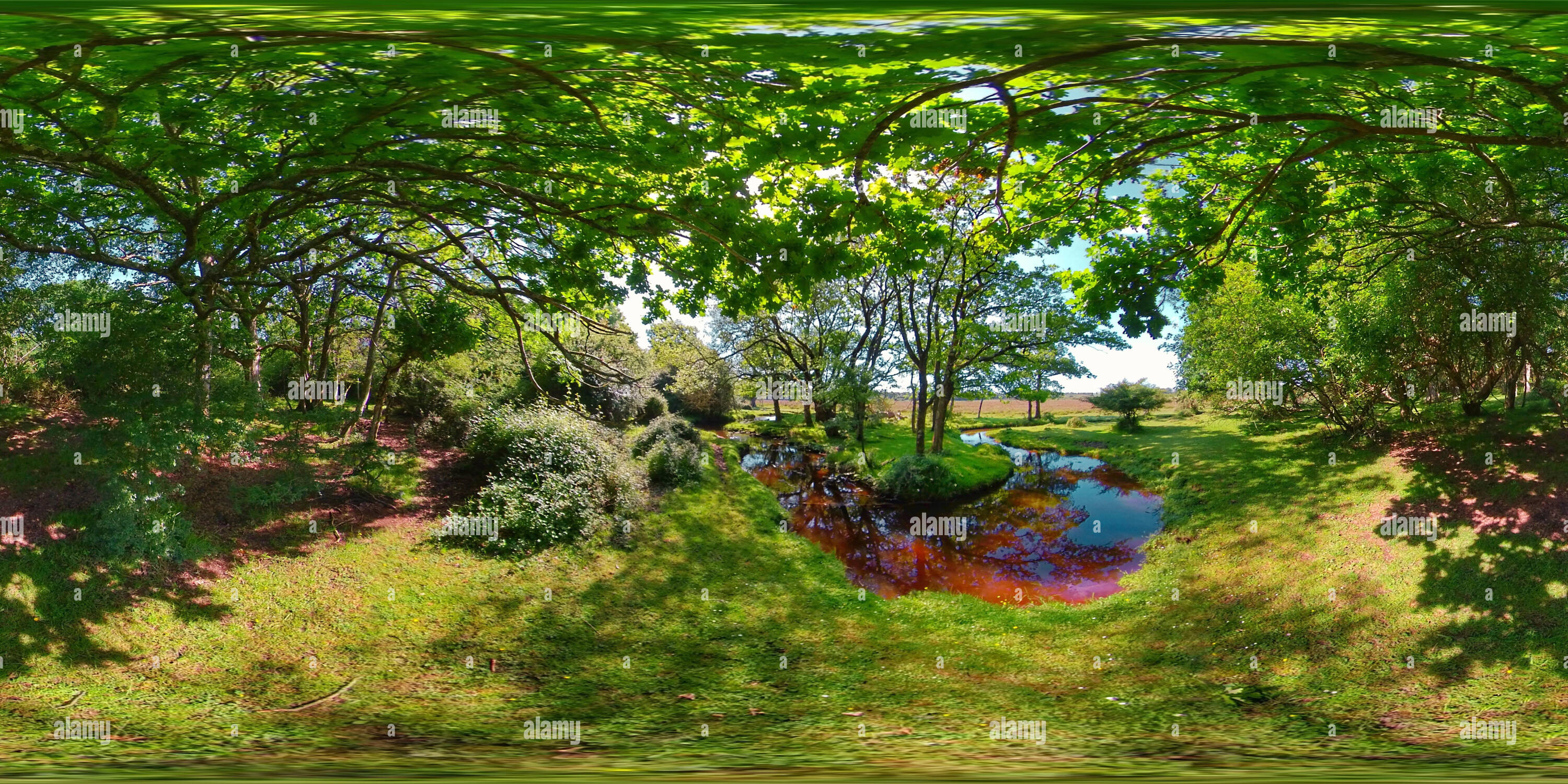 360 Grad Panorama Ansicht von Mill Lawn Brook im New Forest National Park (360VR)