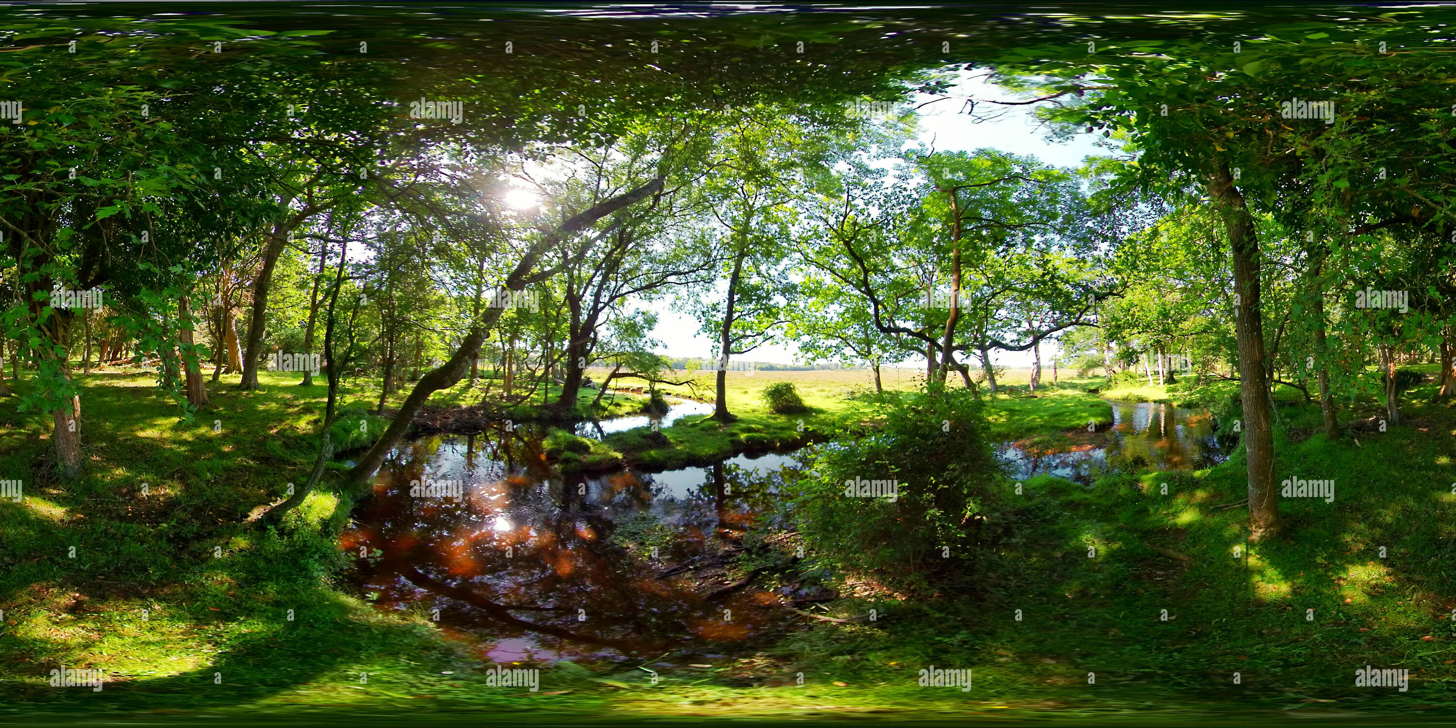 360 Grad Panorama Ansicht von Mill Lawn Brook, New Forest National Park Stream (360VR)