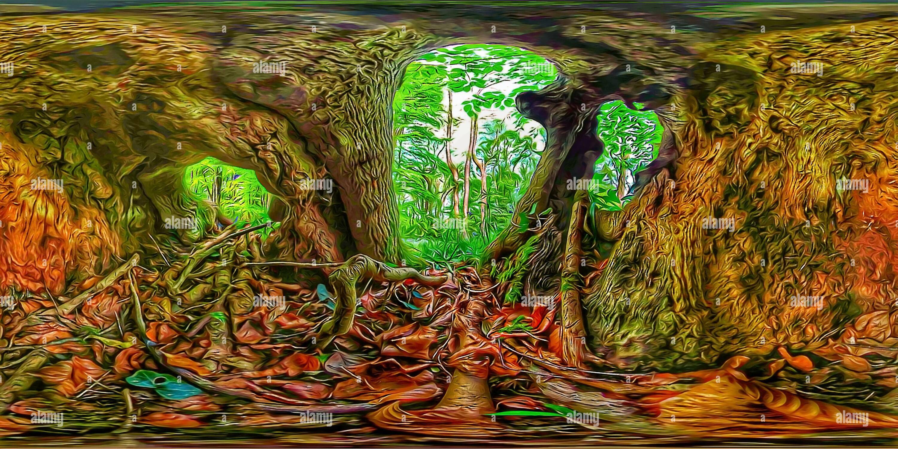 360 Grad Panorama Ansicht von Im Inneren der Höhle einen Baum (Equirectangular 360)