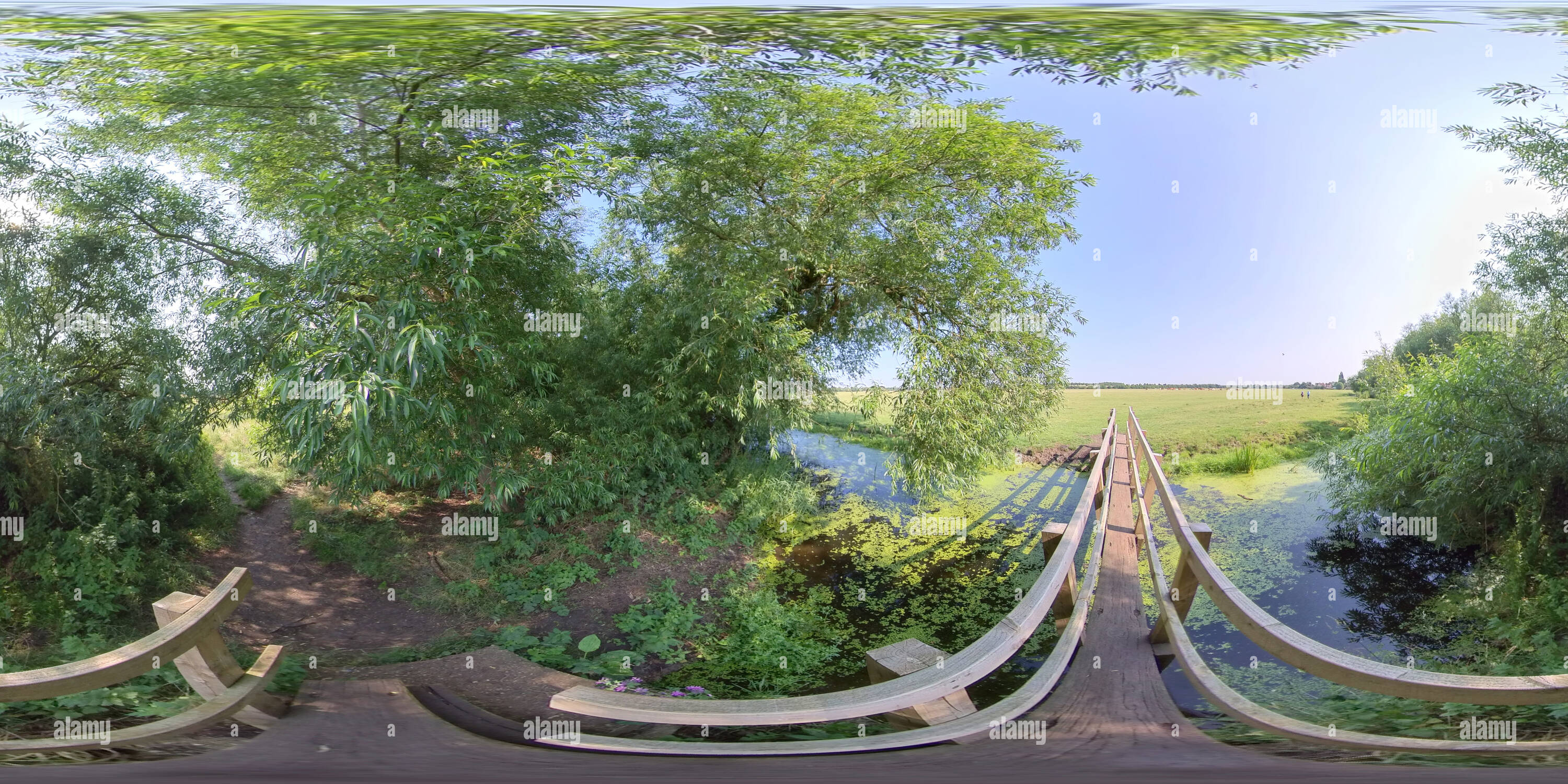 360 Grad Panorama Ansicht von Schmale Fußbrücke über den Cress Brook